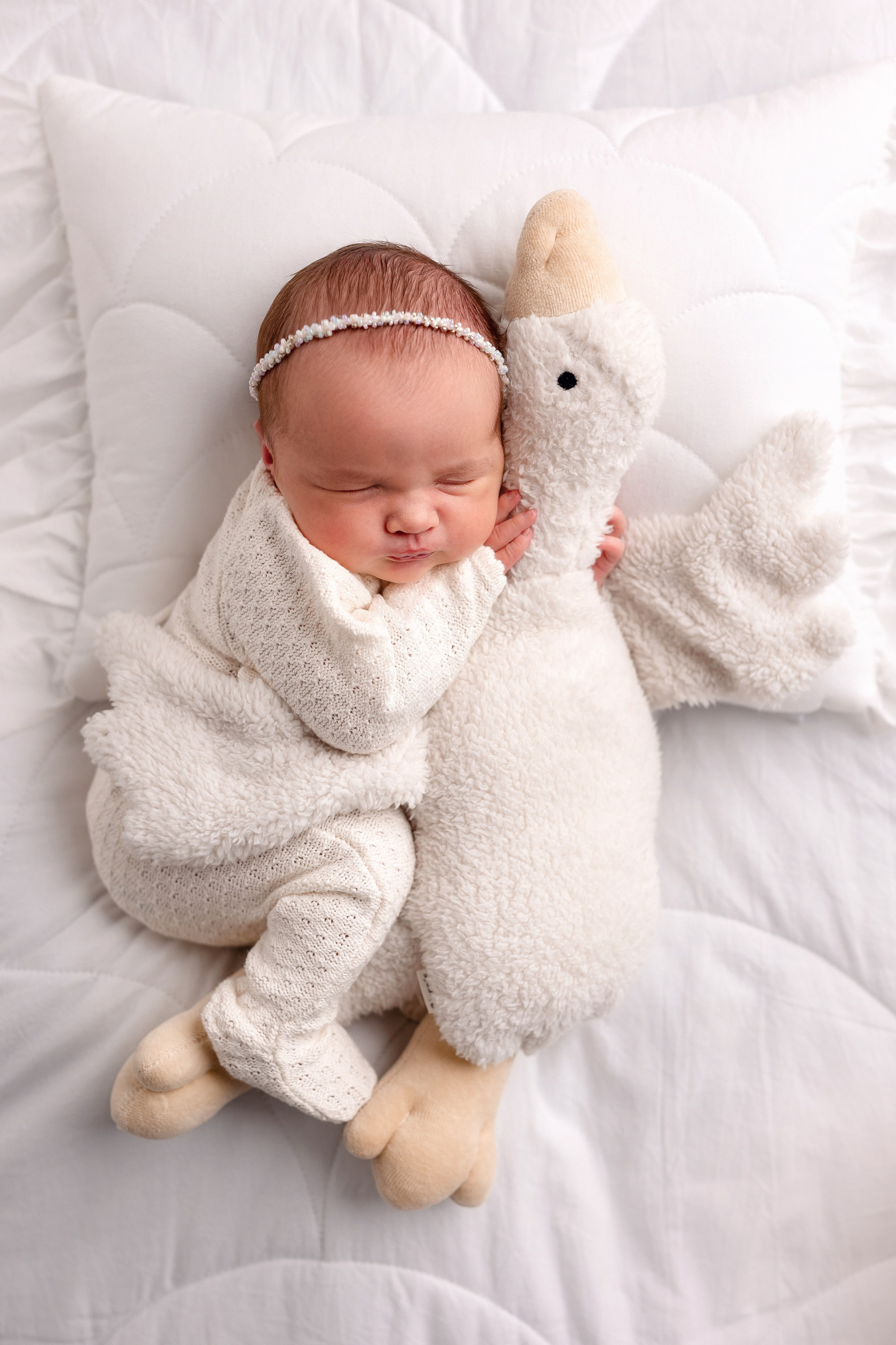 Новорожденные. Фотограф новорожденных