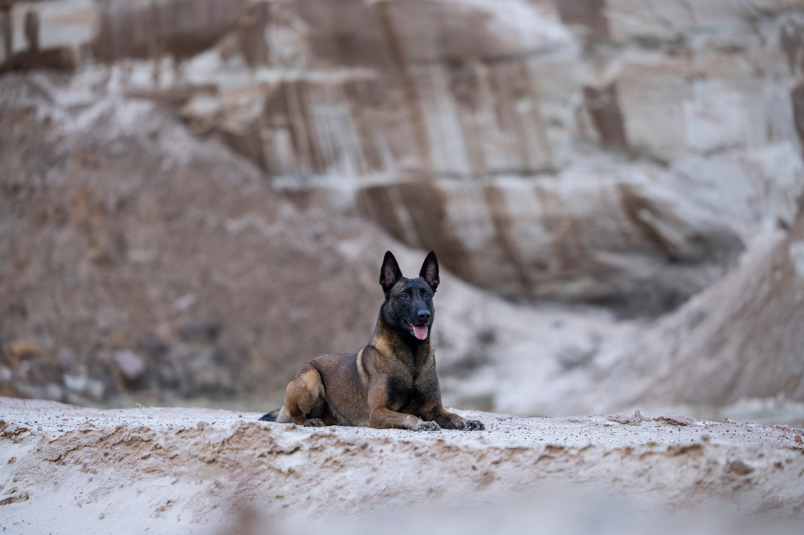 Лужские Мальдивы. Фотограф-анималист Анна Маринич