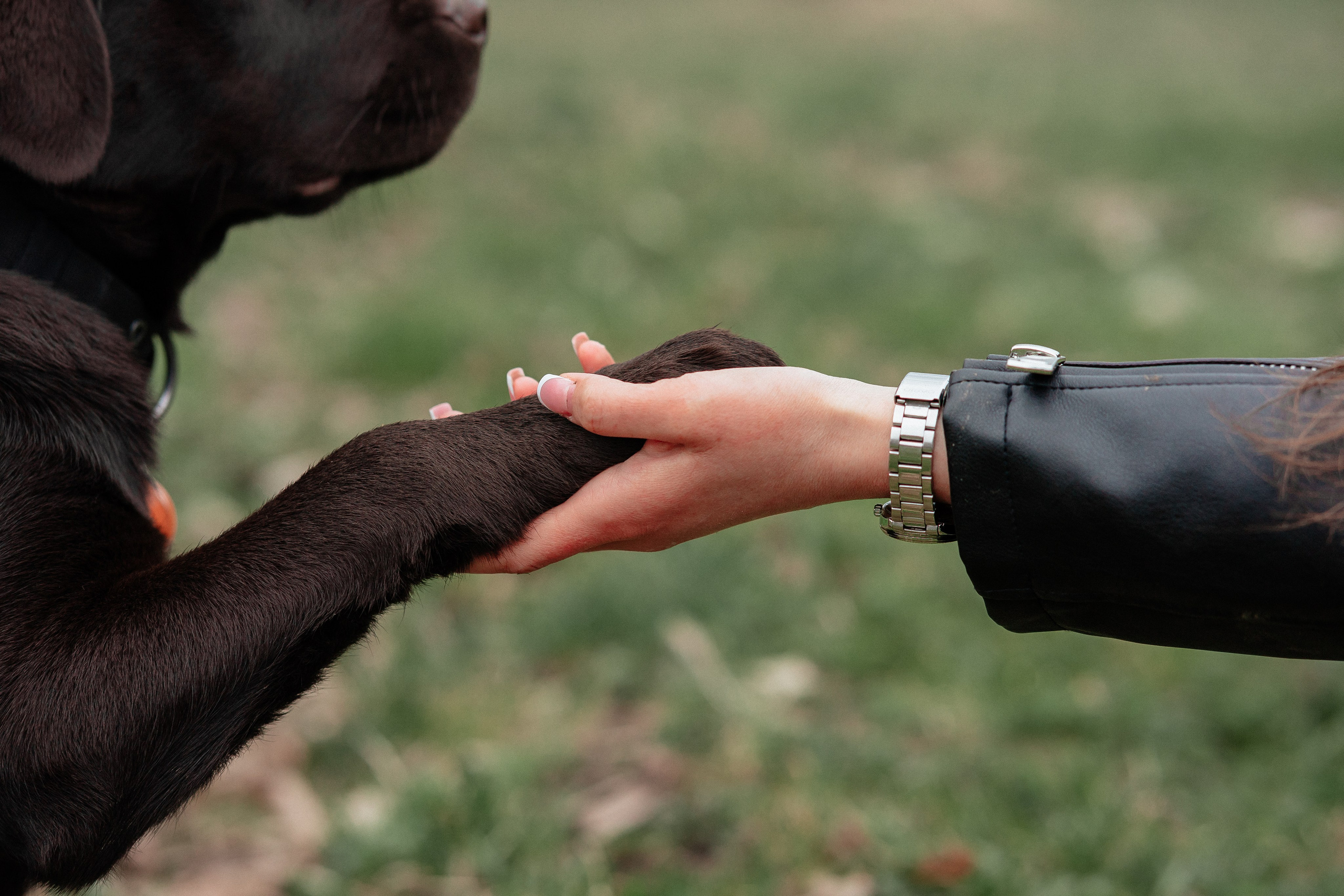 Ника и Ричи. Фотограф в Санкт-Петербурге Алёна Губинская