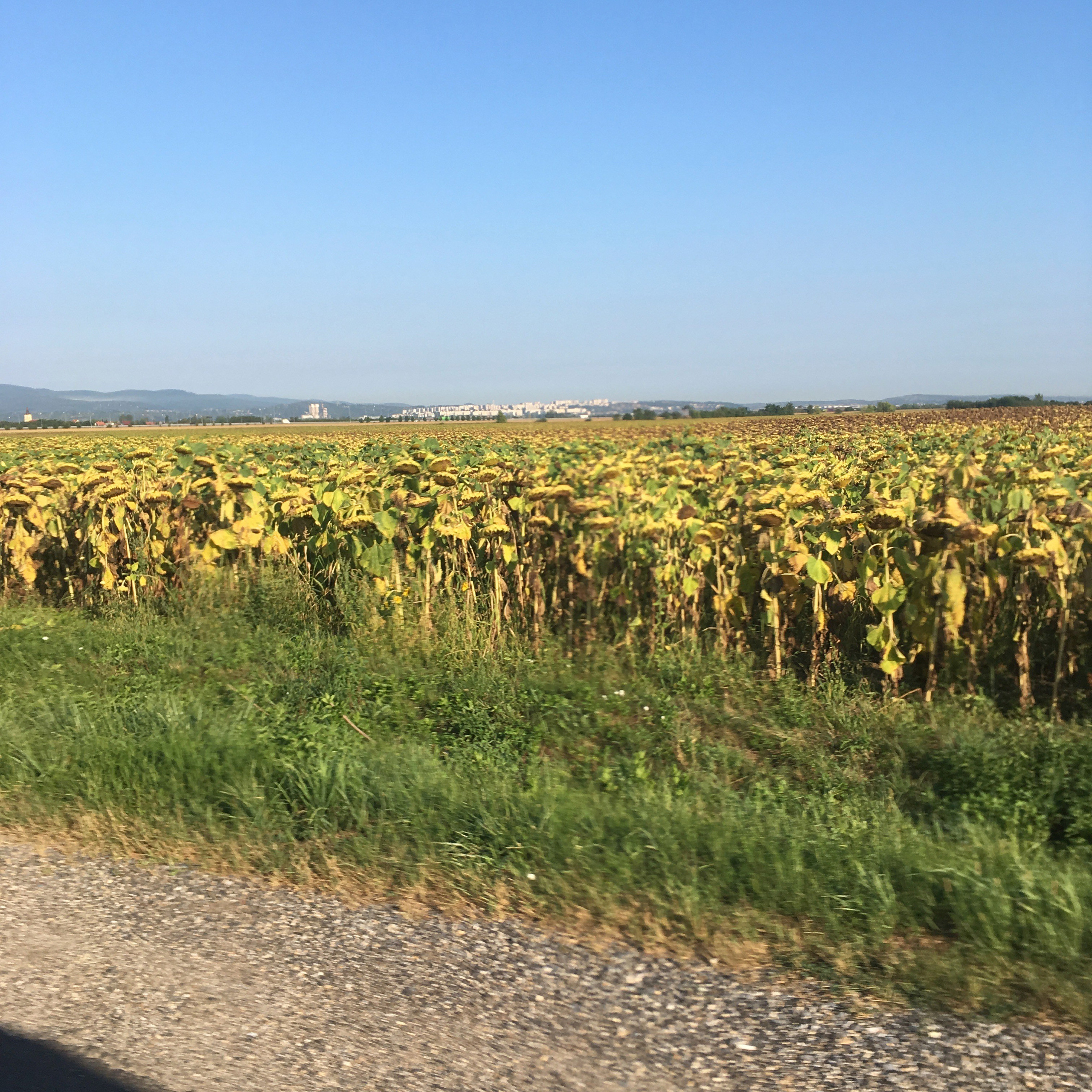 Трансфагараш -18. Своя Мастерская