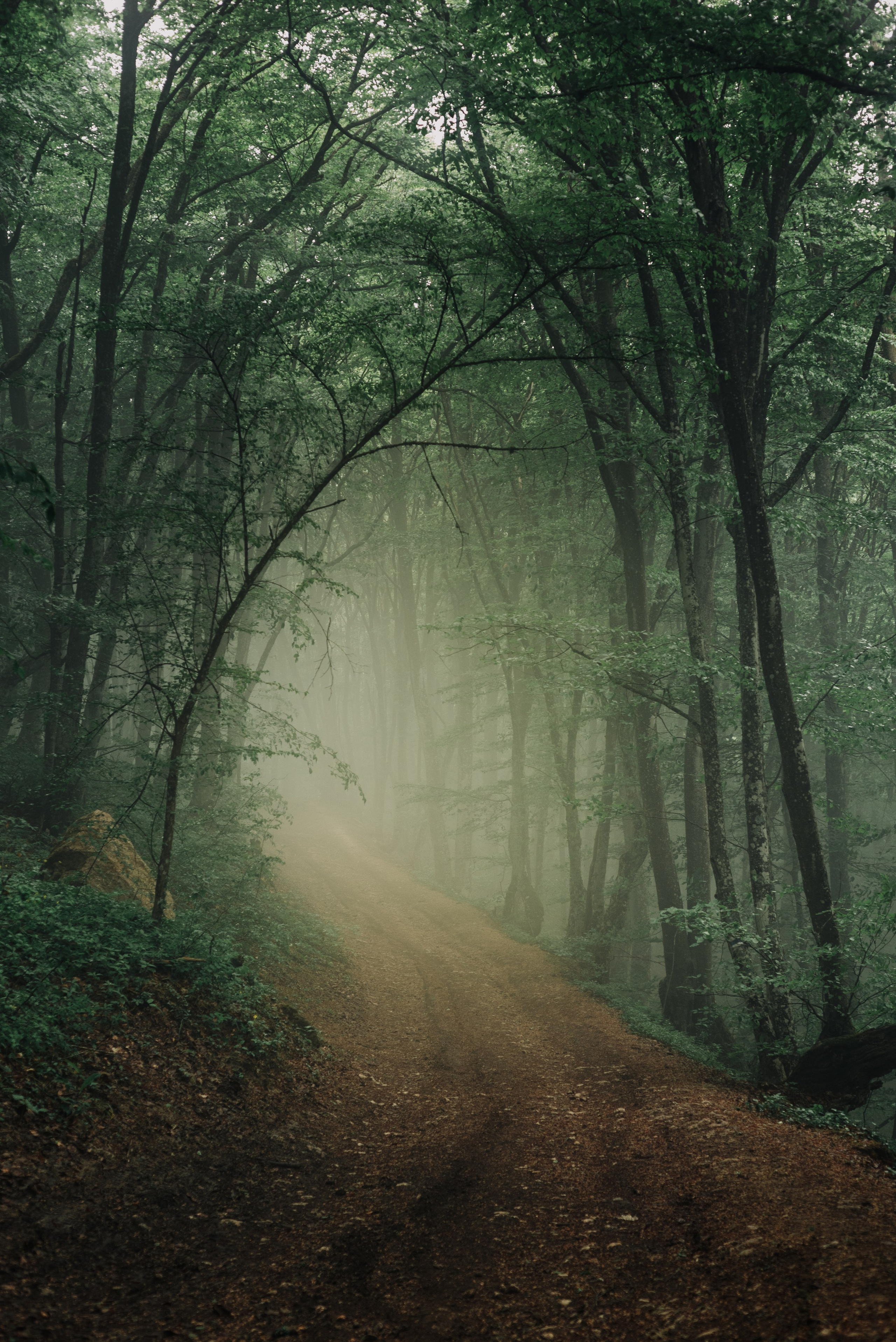 Пейзажи. Дмитрий Шалыгин — Ваш фотограф в Севастополе и Крыму