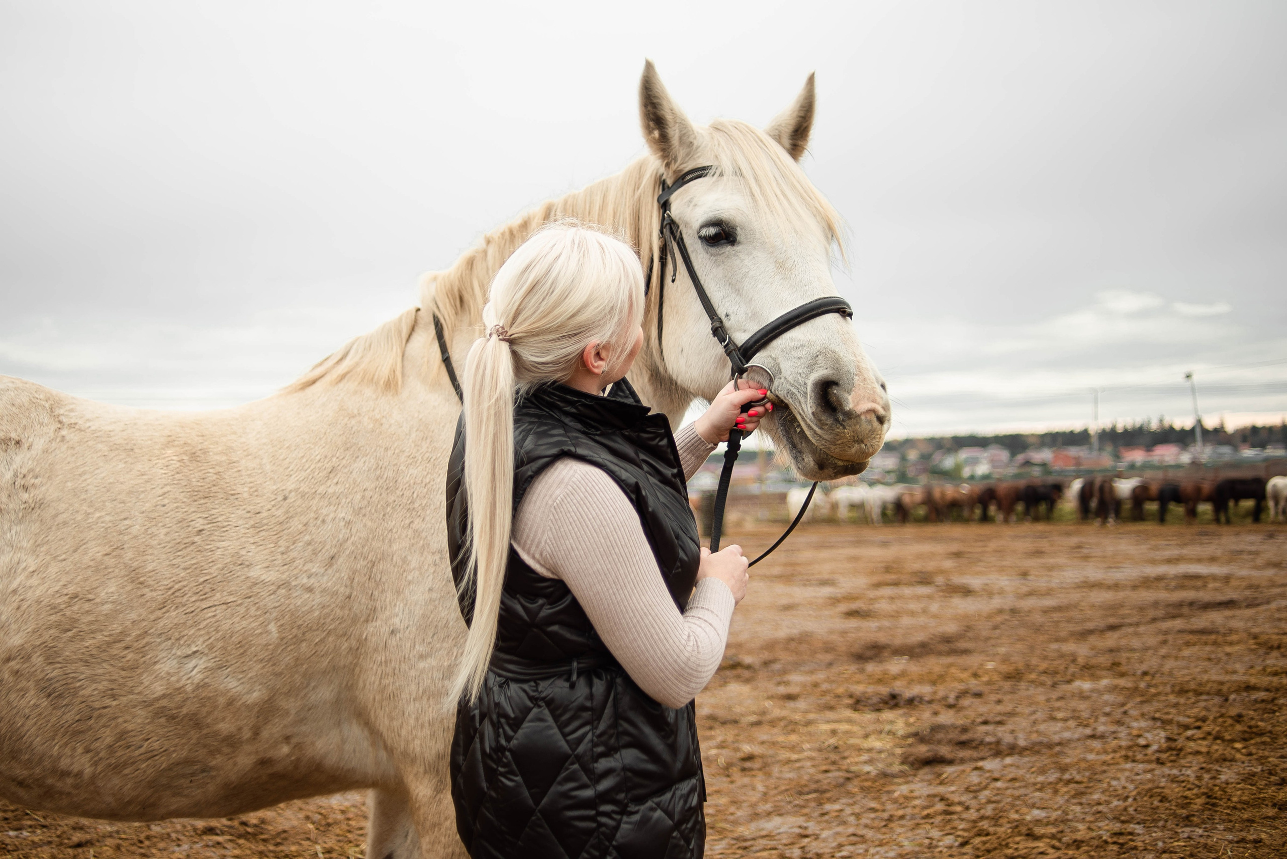 Истории. Главная