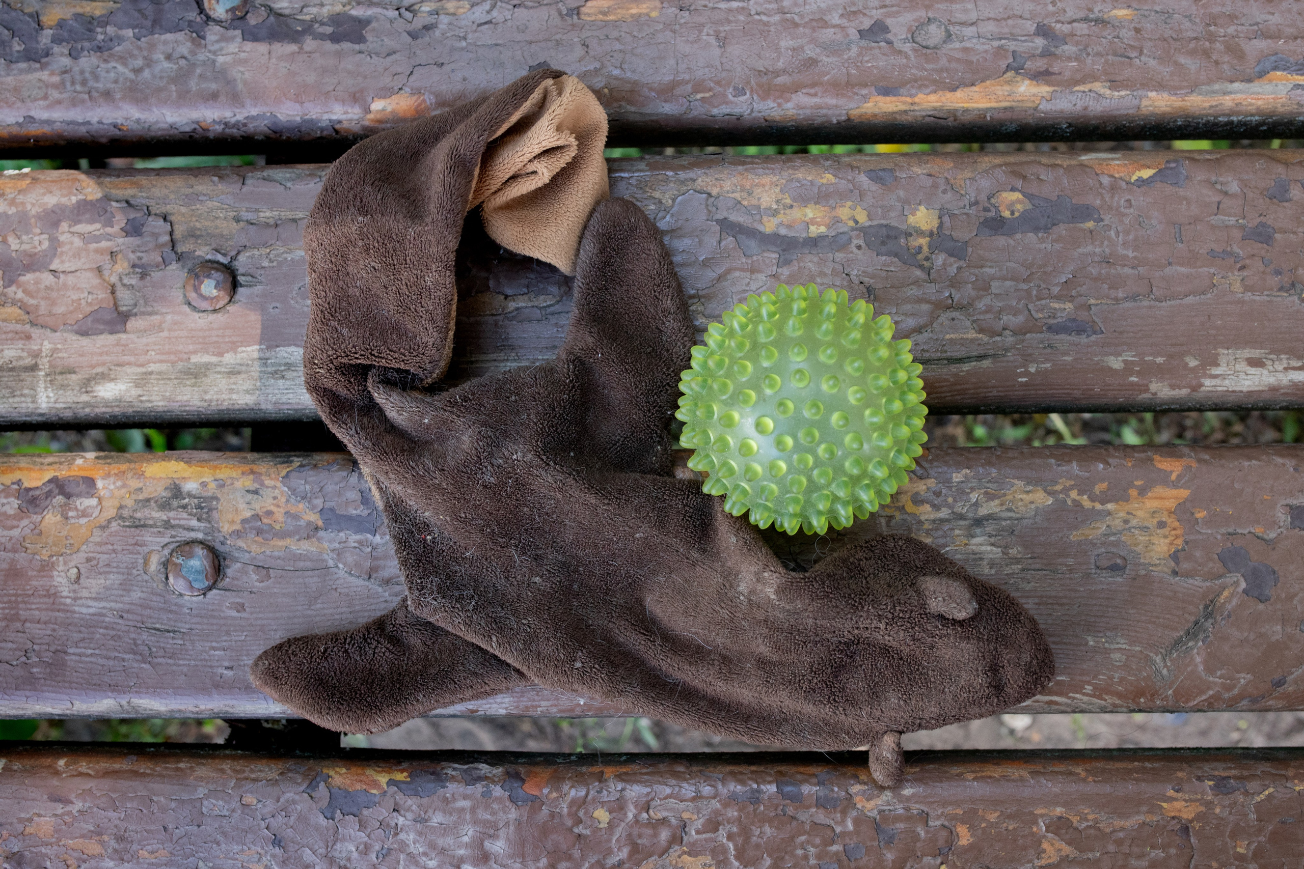 Пустота имеет место. Главная