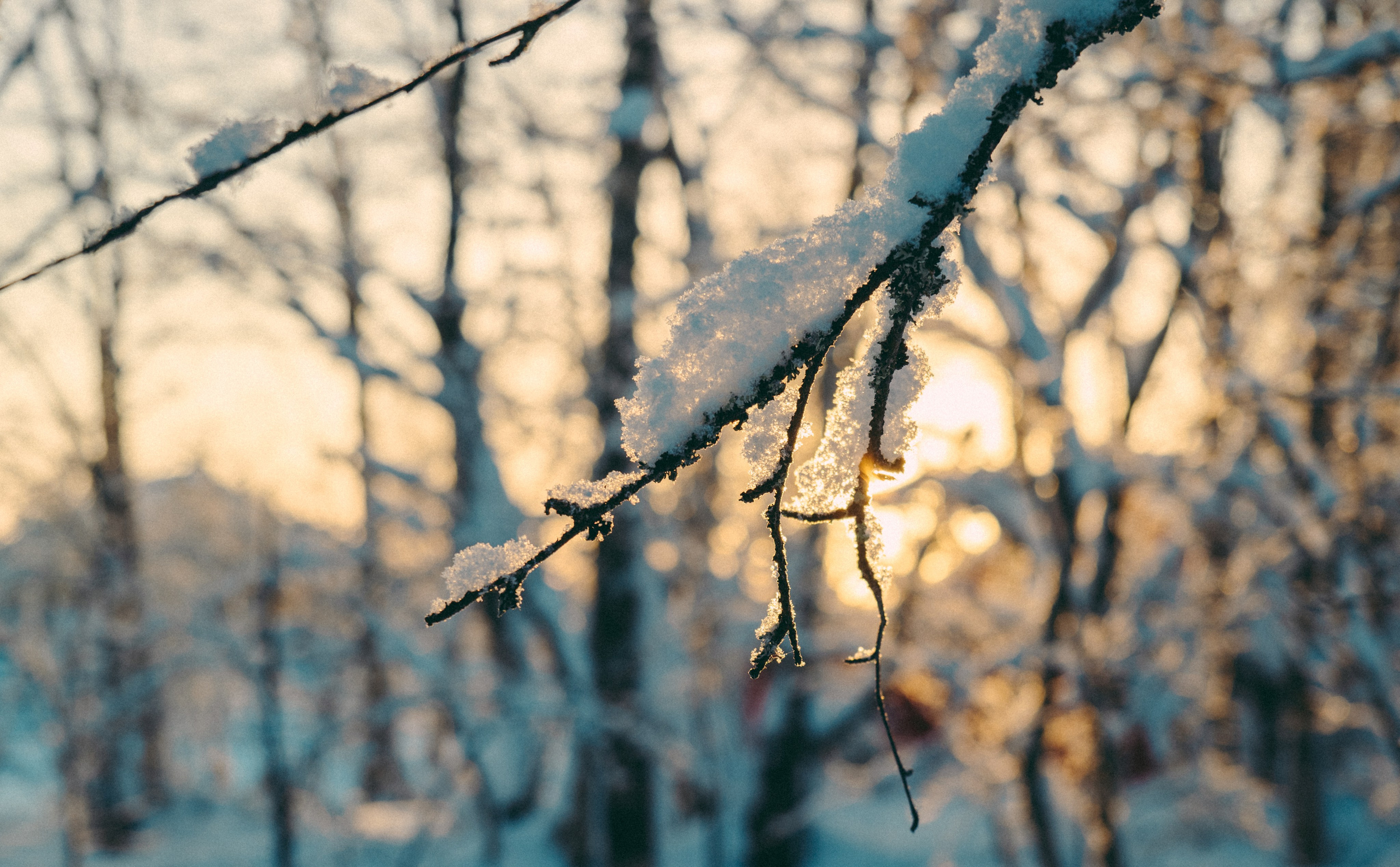 КАРЕЛИЯ / ЗИМА. Создание контента | Фото | Видеосъемка | Александр Ярков