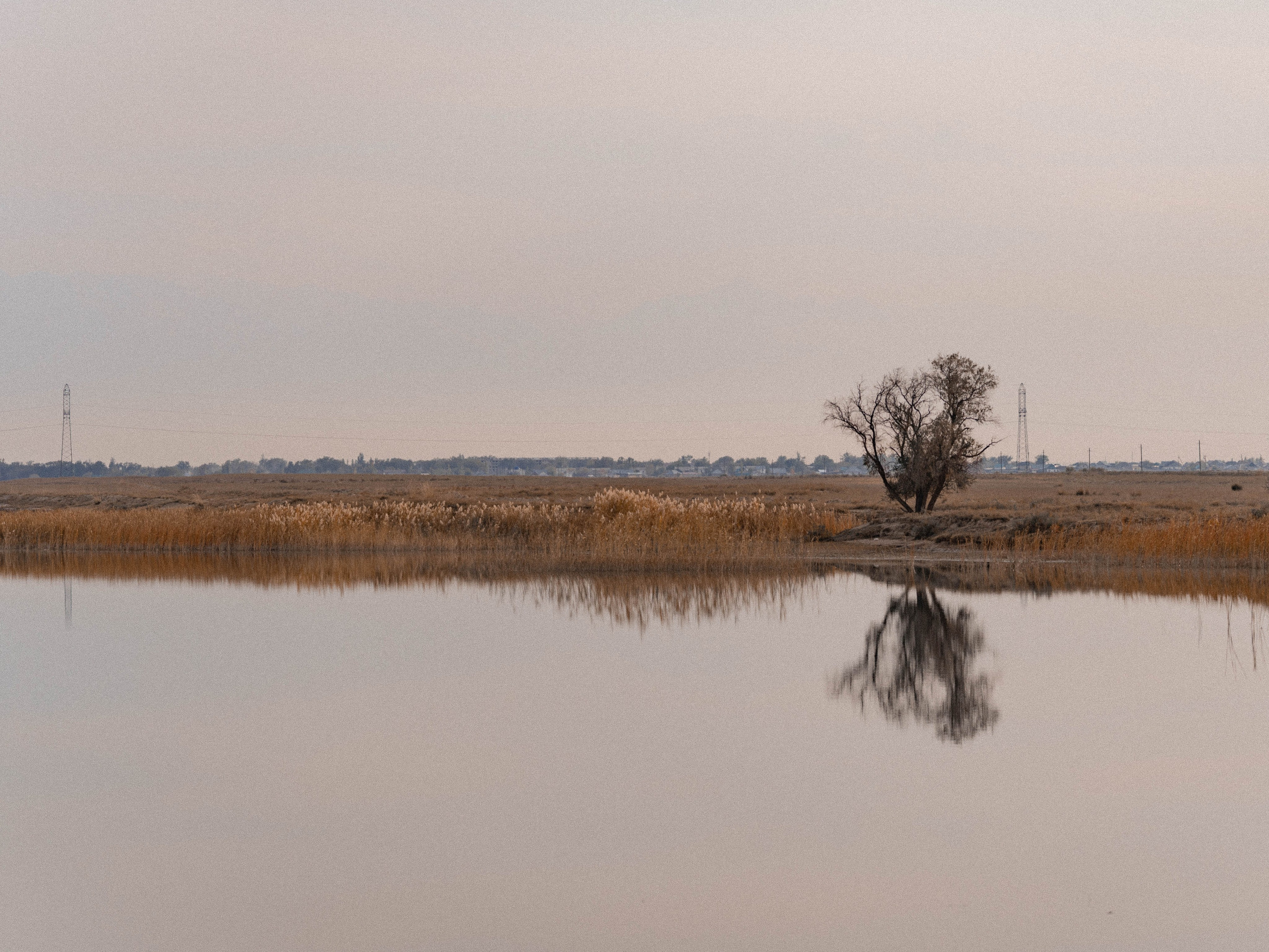 Визуальный дневник. Репортажный фотограф в Алматы Цой Сергей