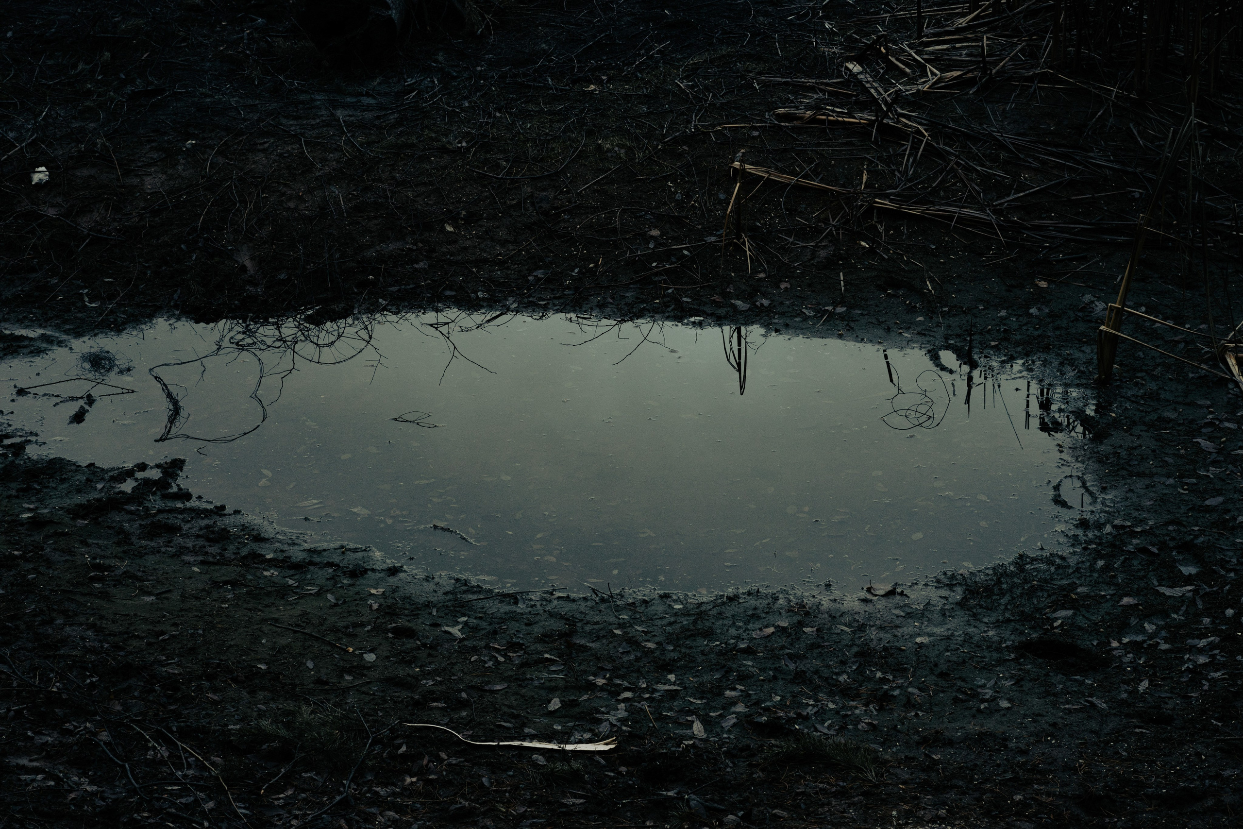 Метафизика. Фотограф Александр Тихонов