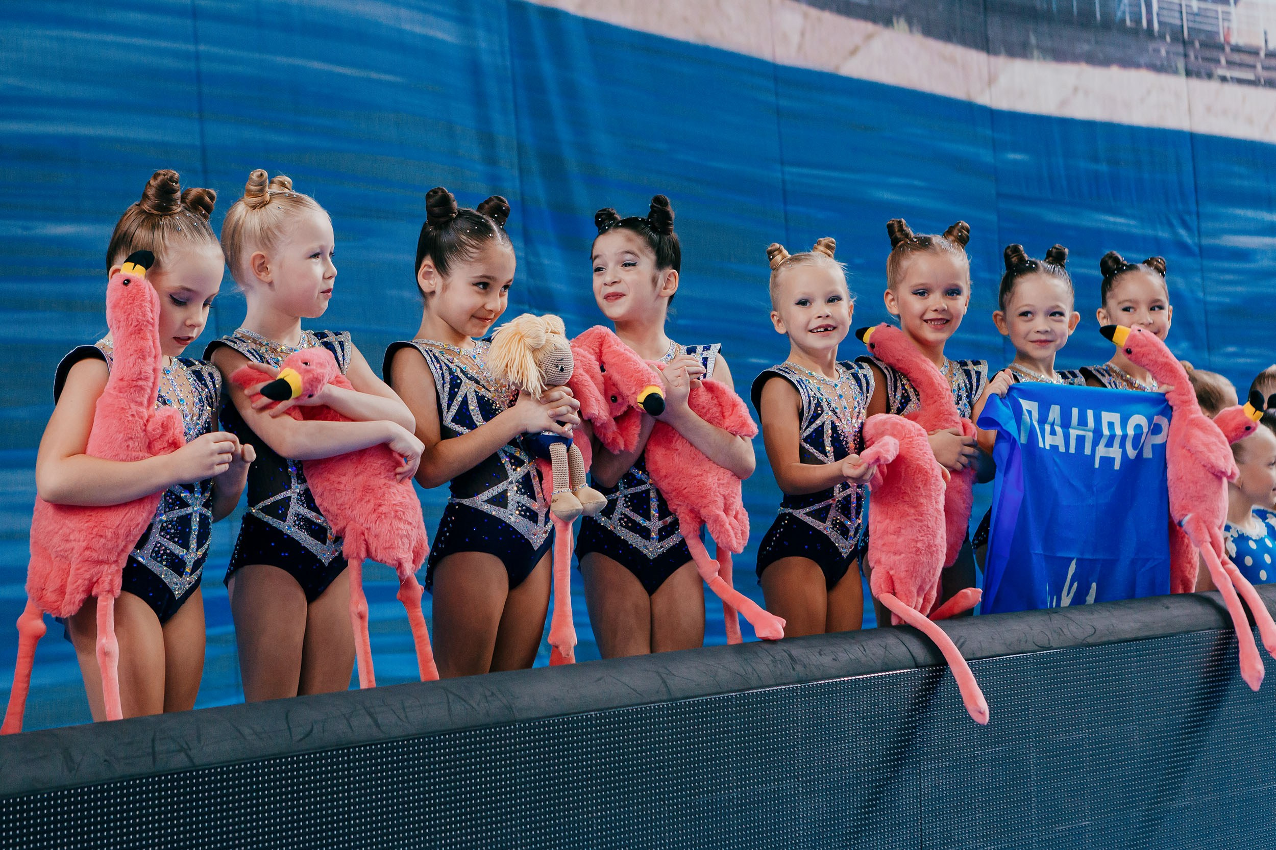 «ЭЛЕГИЯ» Всероссийские спортивные соревнования по эстетической гимнаст. Спортивный фотограф Александр Васильев. RG и AGG