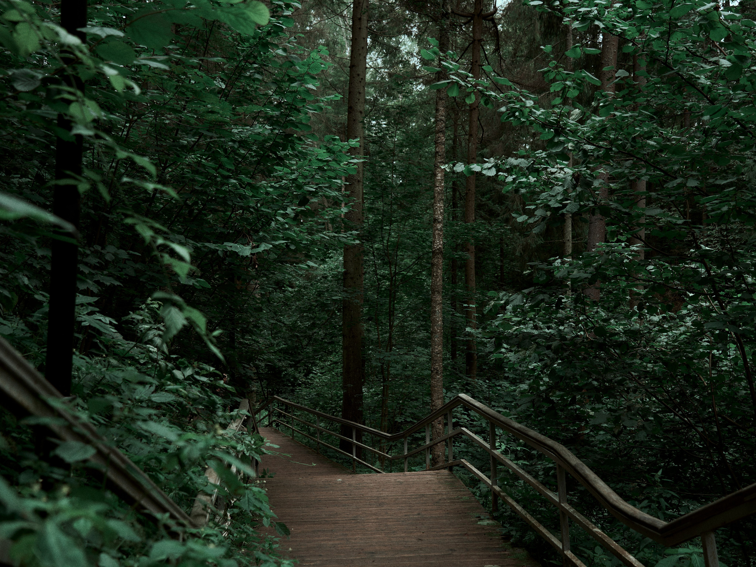 Street. Портретный фотограф в Москве