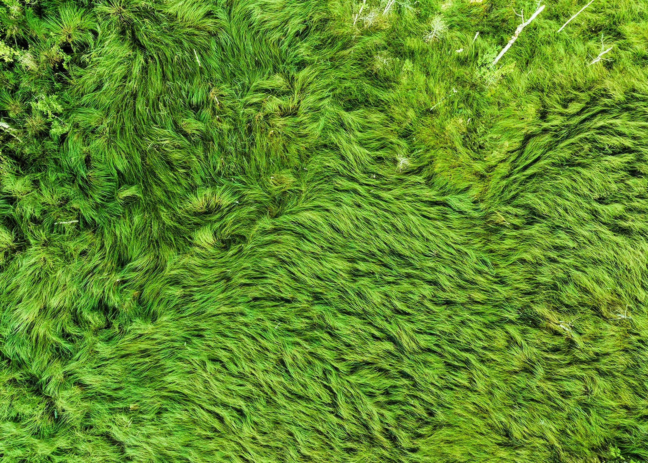 Карельский Перешеек. Фотограф Владимир Медведев