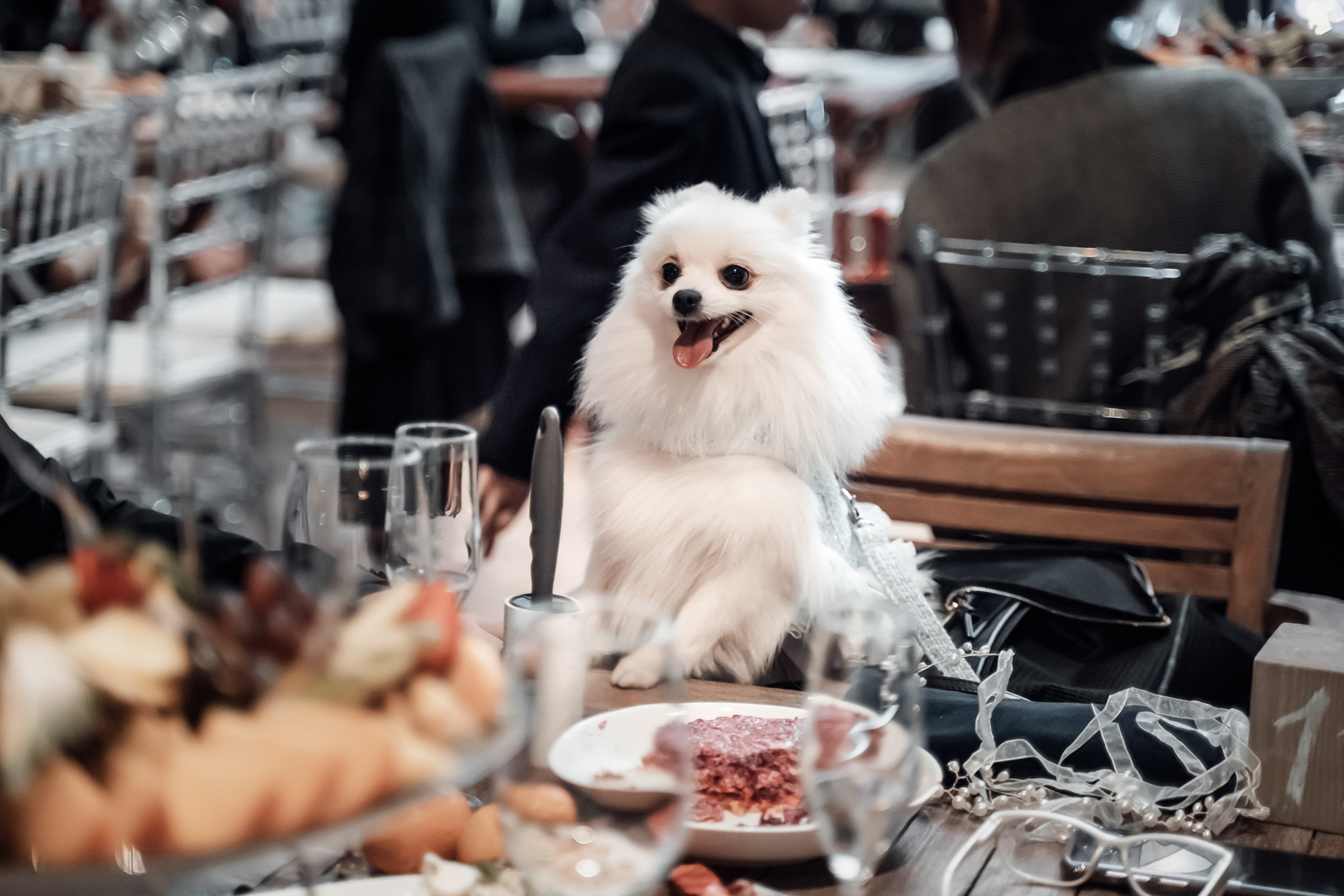 Soho Country Club. Свадебный и Репортажный фотограф в Москве — Шестак Константин