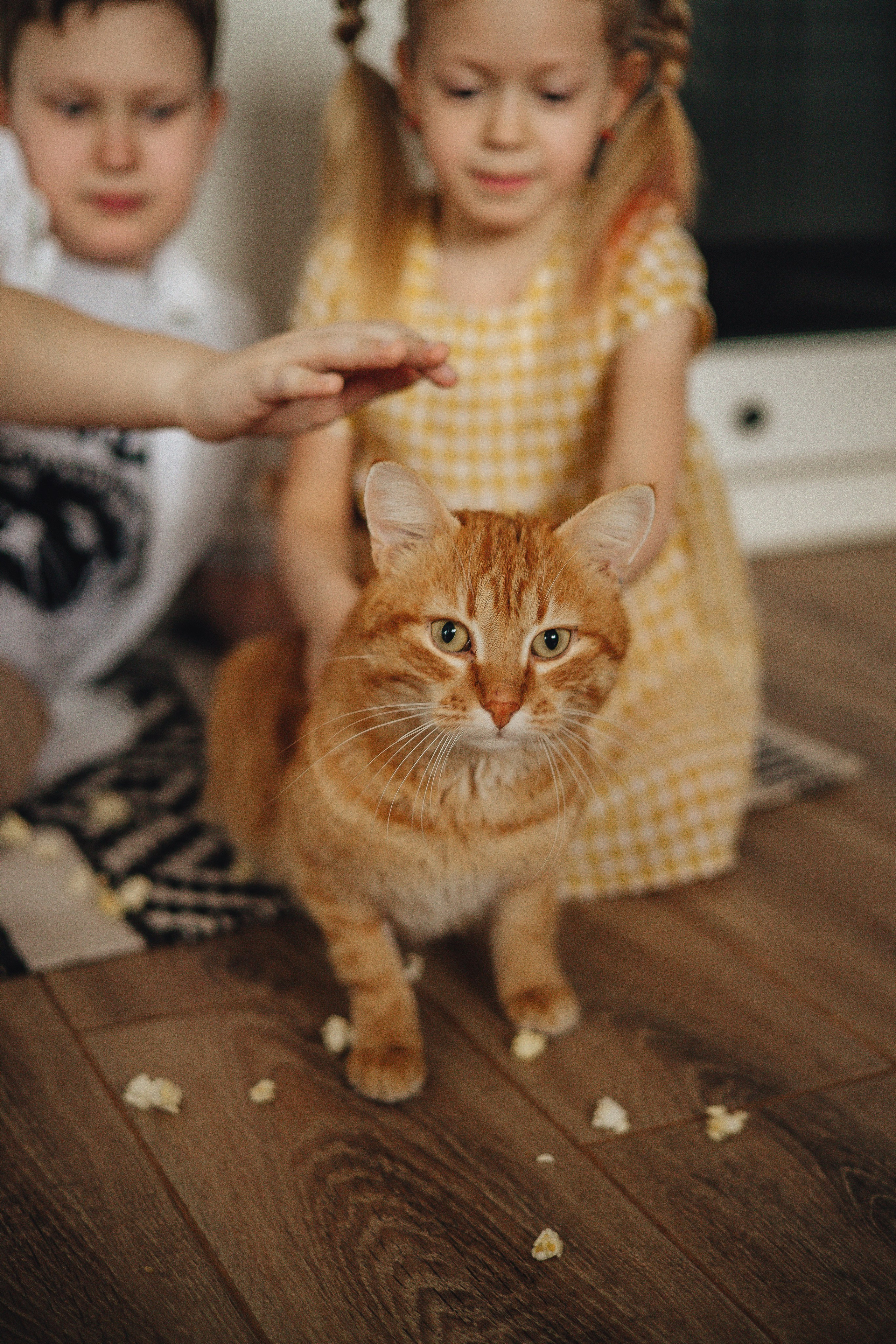 Home — съемка. Свадебный и семейный фотограф Пушкин Царское Село СПБ Питер Санкт-Петербург и Рязань Ольга Козлова