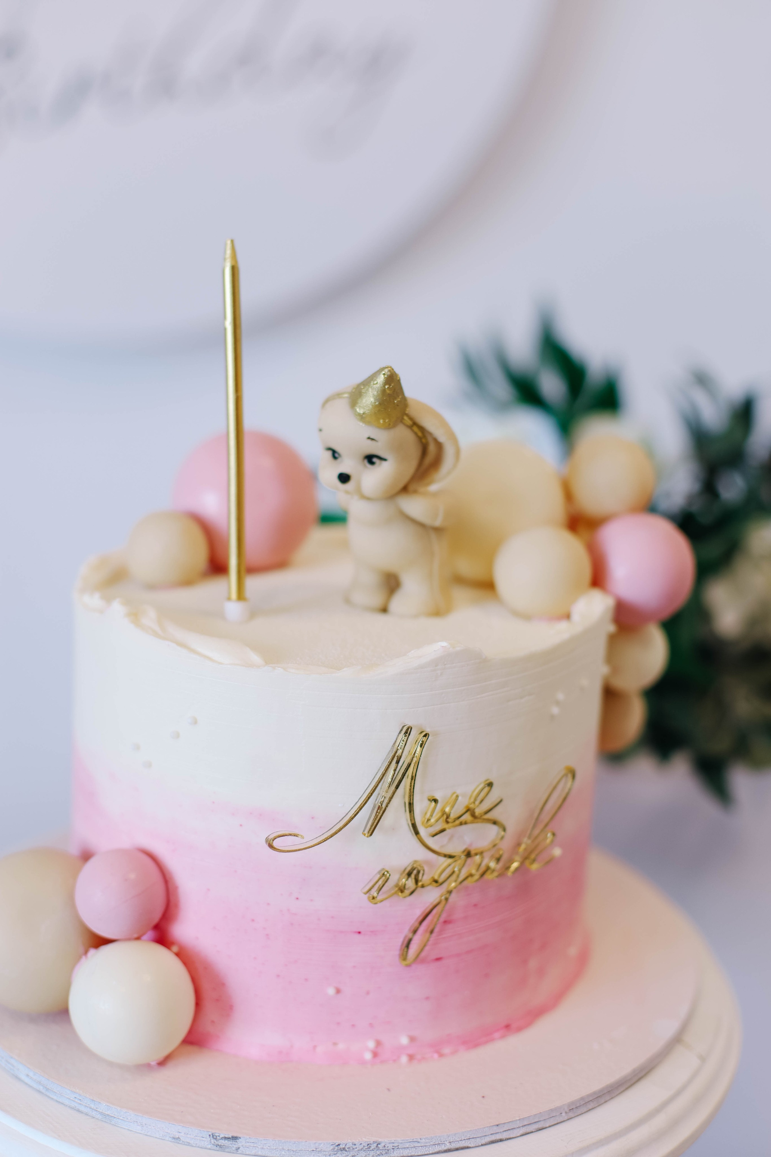 Годовасия и Дни рождения. Семейный и свадебный фотограф в Пензе Валерия Филюкова