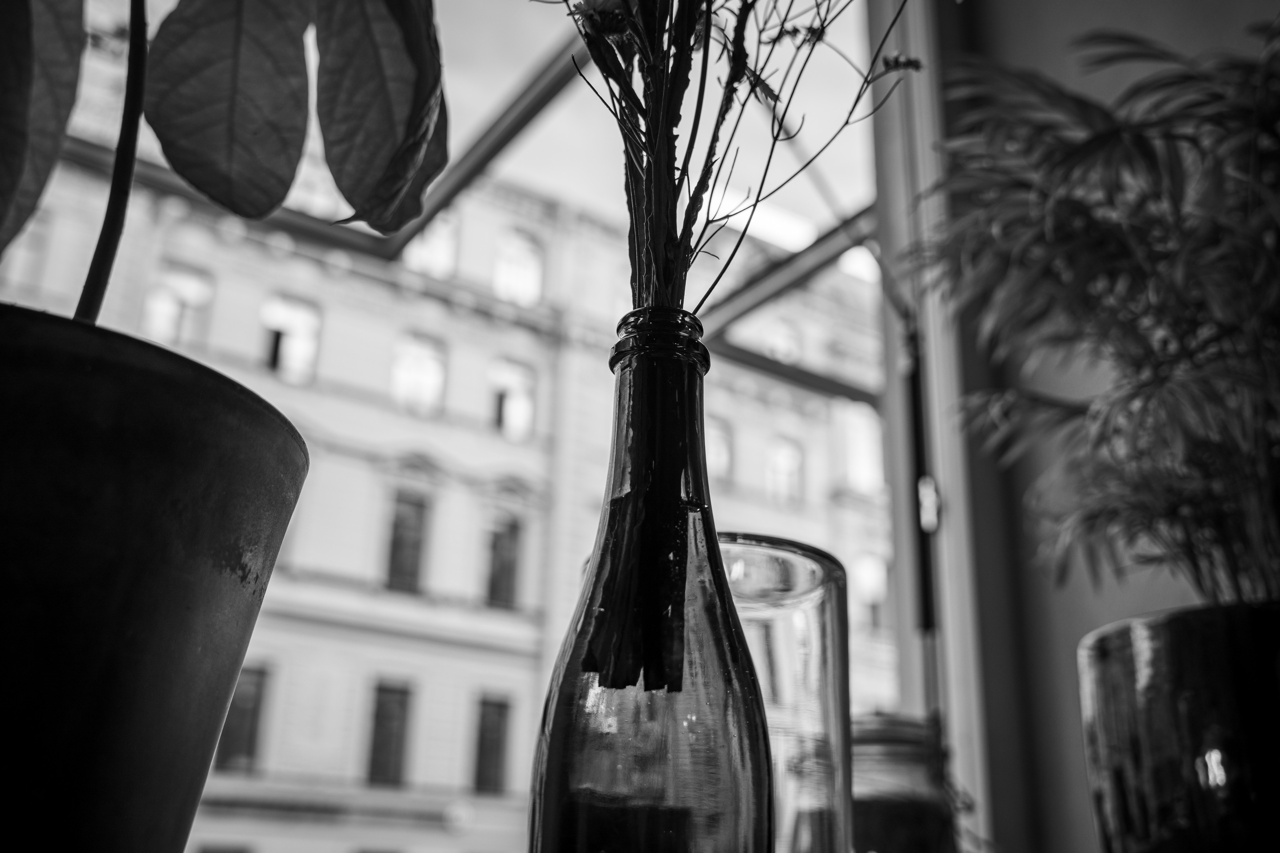 Ресторан Jerome в Питере