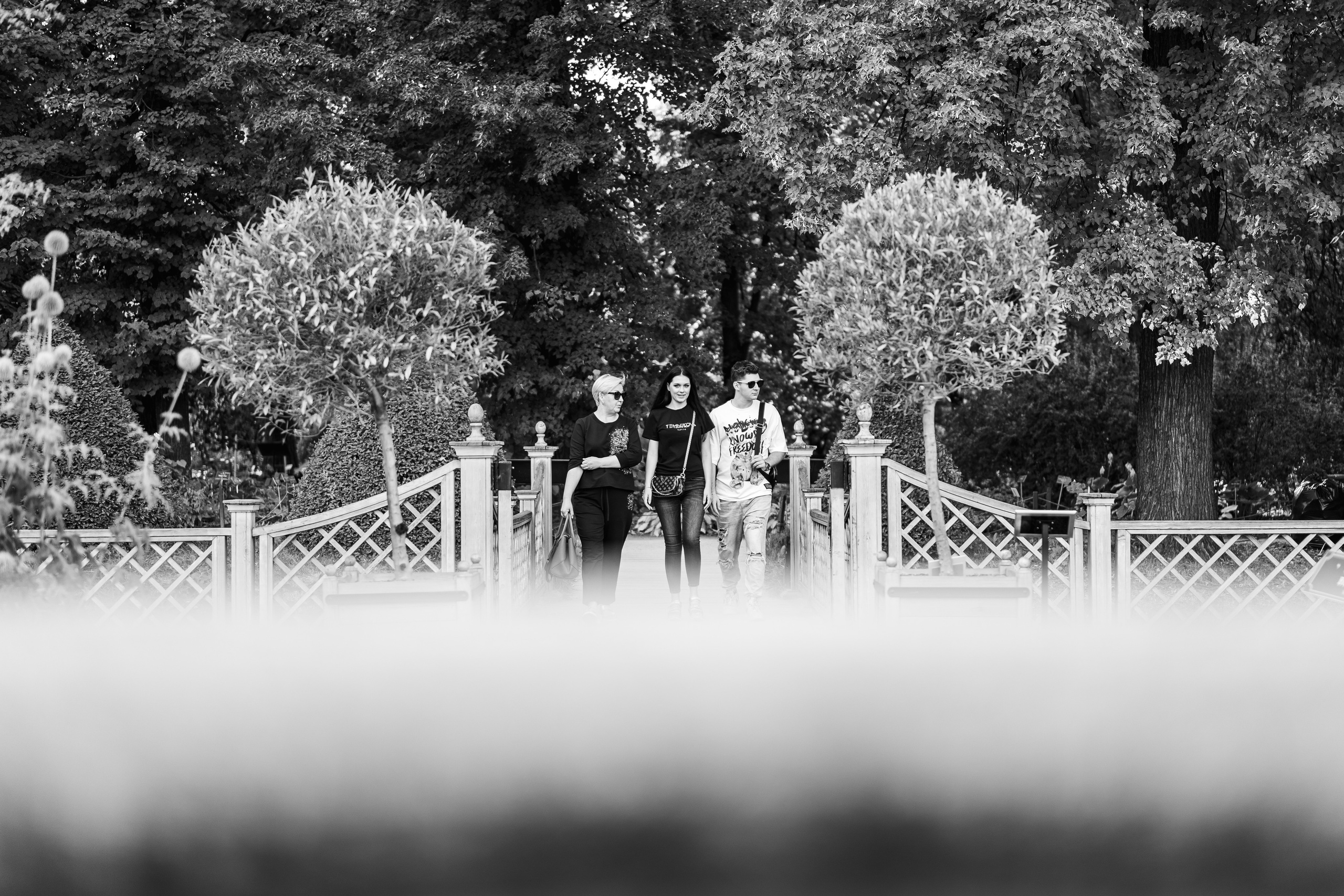 Аптекарский огород в Москве