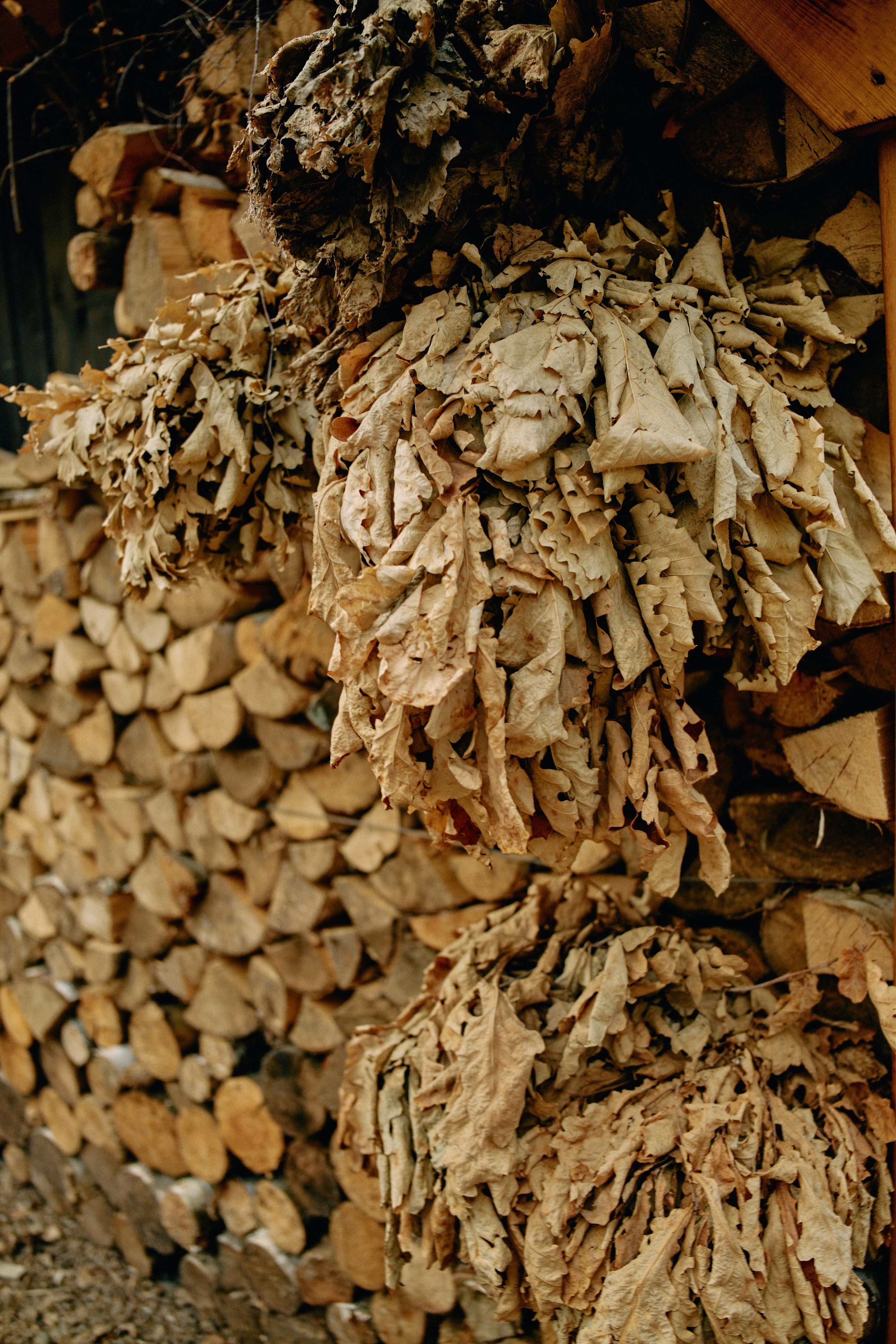 Бутик-отель Поле летом. Профессиональный Фотограф во Владимире, в Москве и в Суздале — Полина Романычева