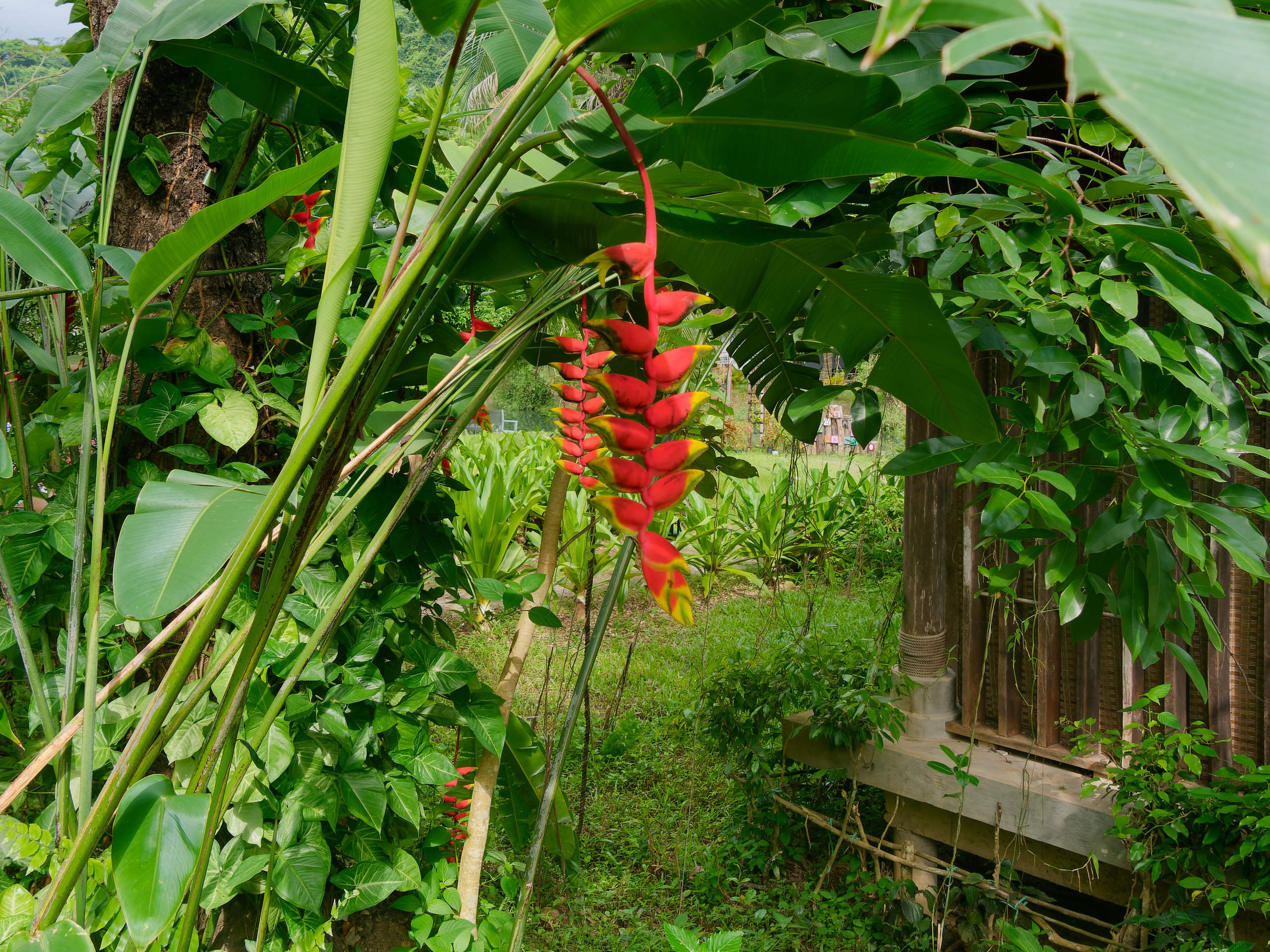 Нячанг 2025 (5). Избранные фотографии