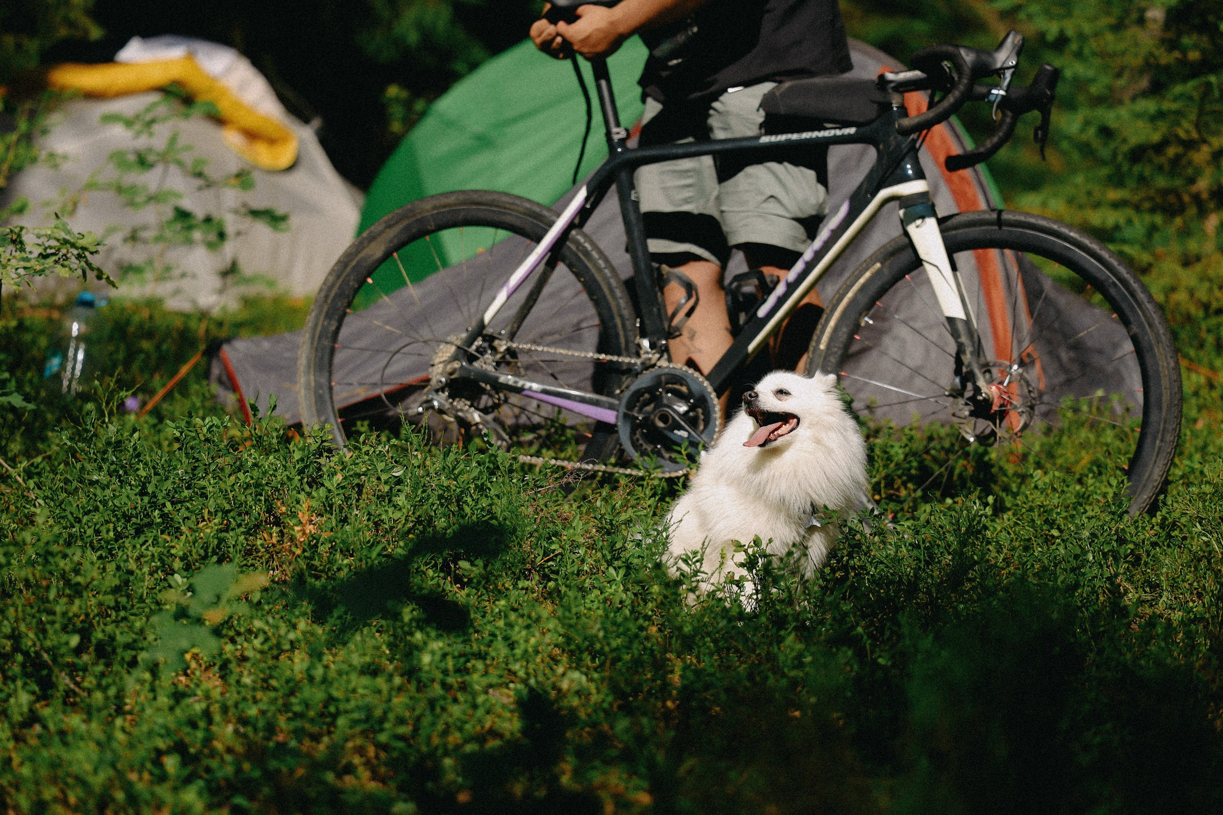 /РЕПОРТАЖ/ Велогонка ЦАРЬ-ГРЕЙДЕР 2. 2024. Свадебный фотограф Великий Новгород Станислав Кособудский