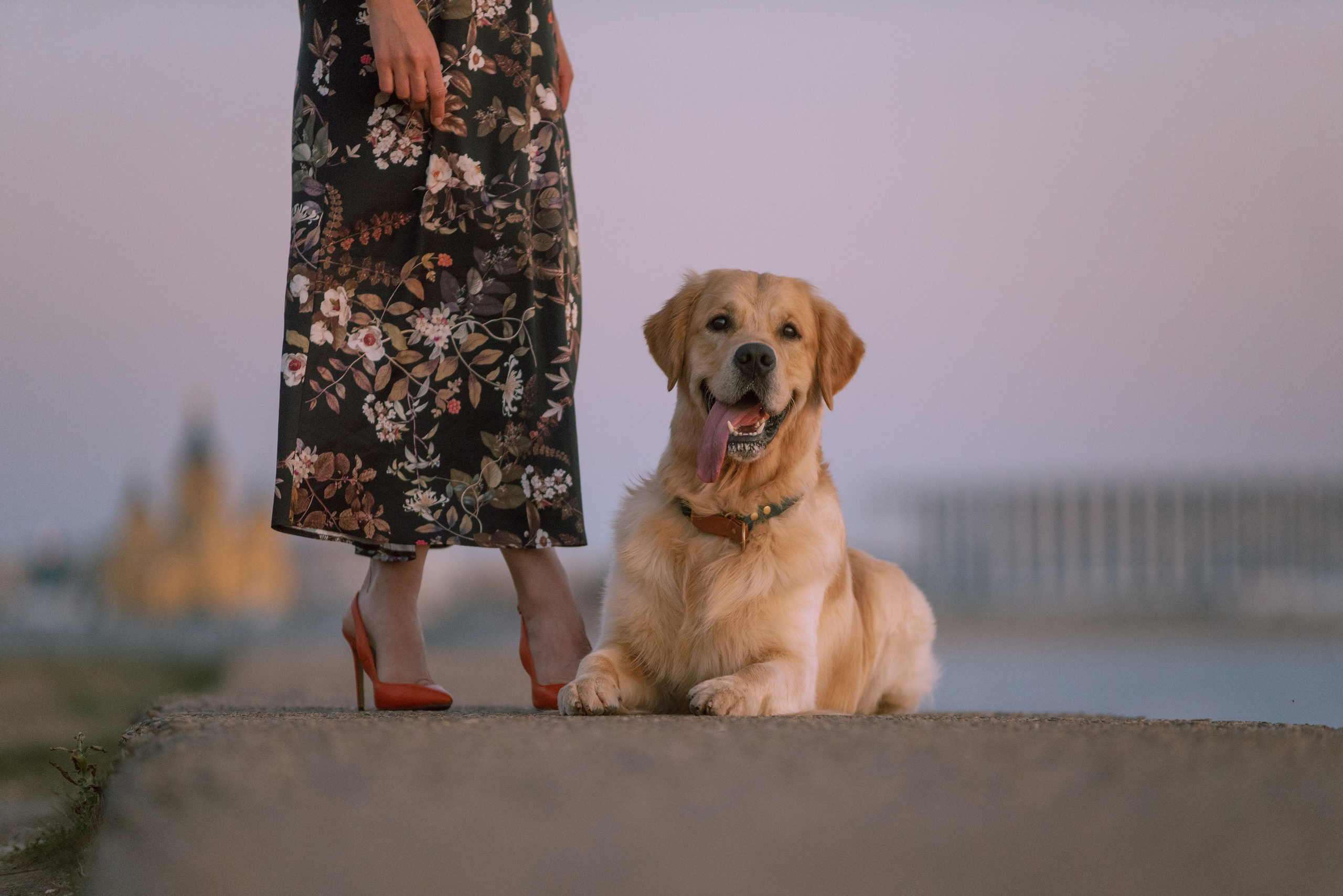 Светлана и Чарли в Нижнем Новгороде. Фотограф Анна Тюрина