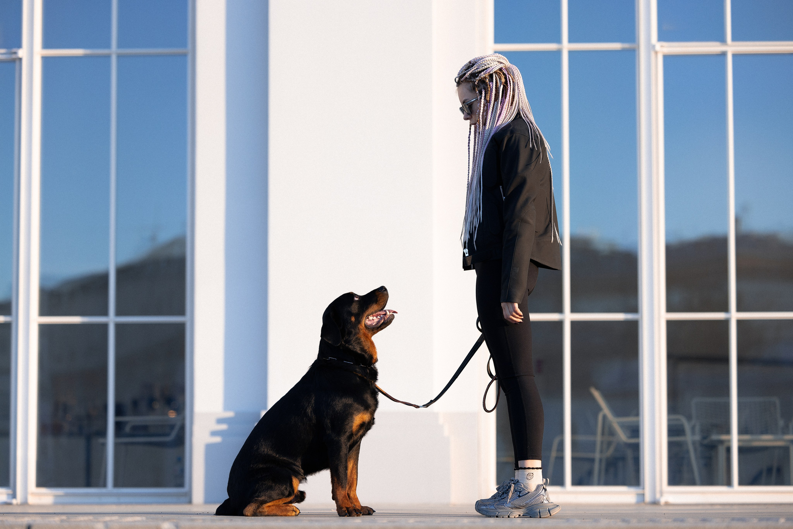 Катя, Леша, Трой и Лея. Фотограф и видеограф анималист Аганина Дарья