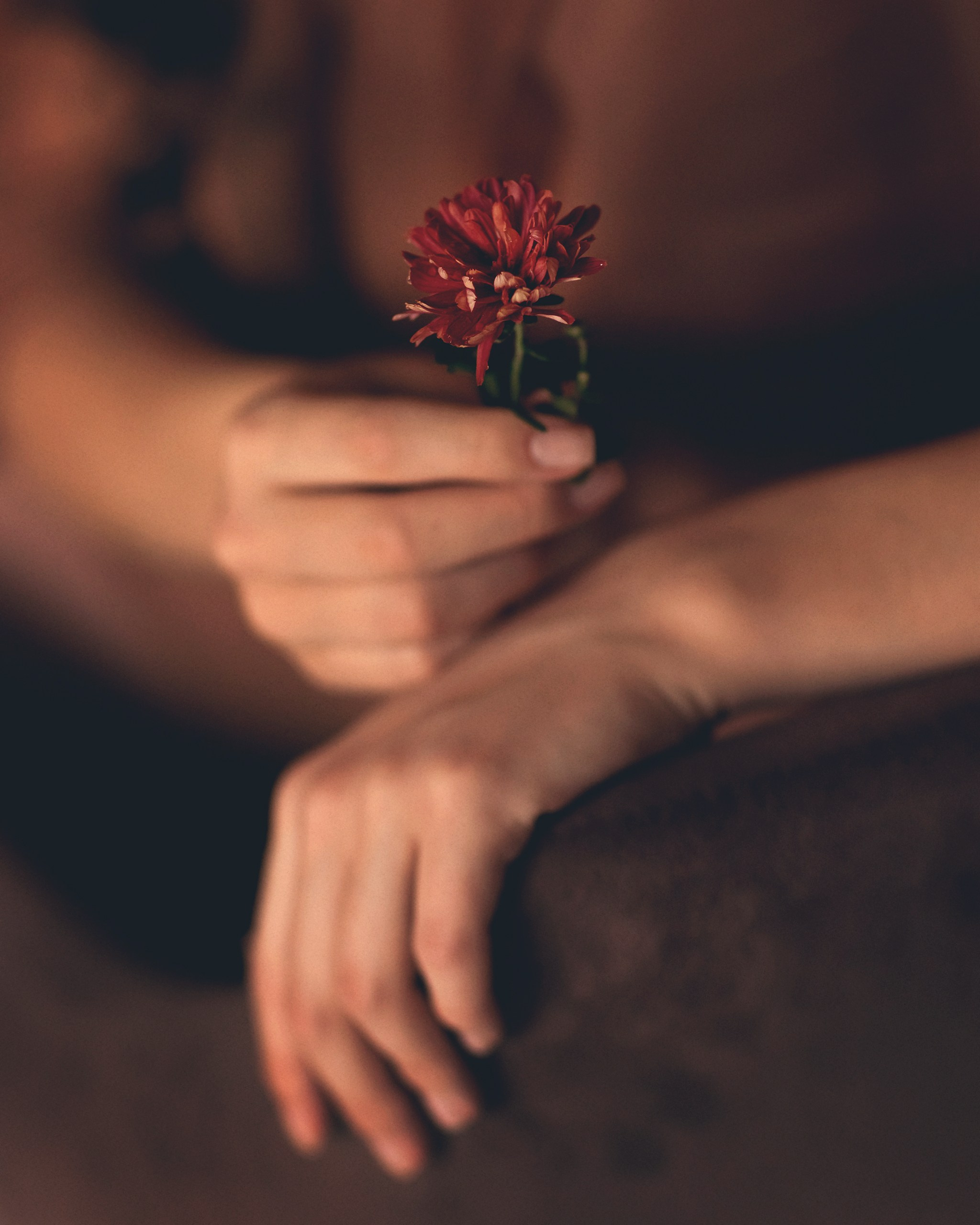 Мария. Детский и семейный фотограф Елена Михайлова в Москве