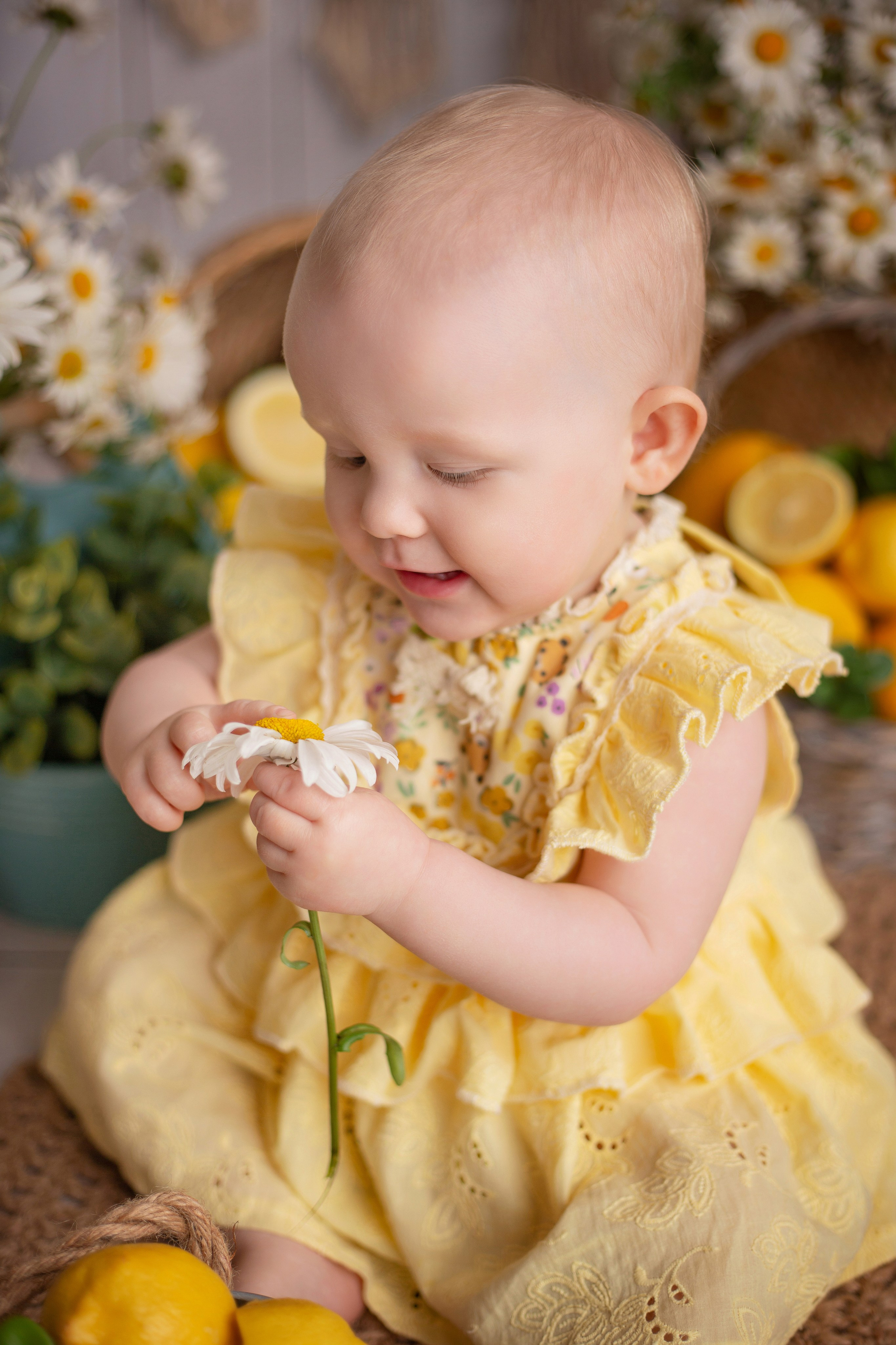 Фотопроекты. Детский фотограф в Няндоме Ариана Арсеньева