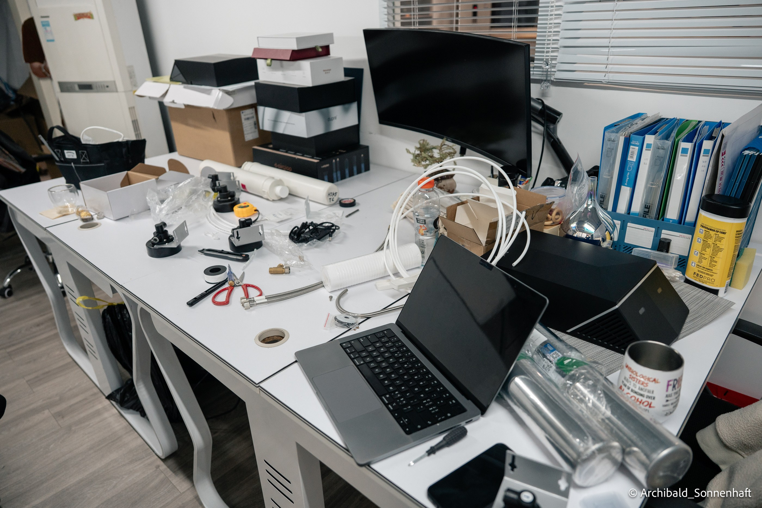 Cat, squirrel, japanese food and stand-up. Photographer in Guangzhou, China. Archibald Sonnenhaft