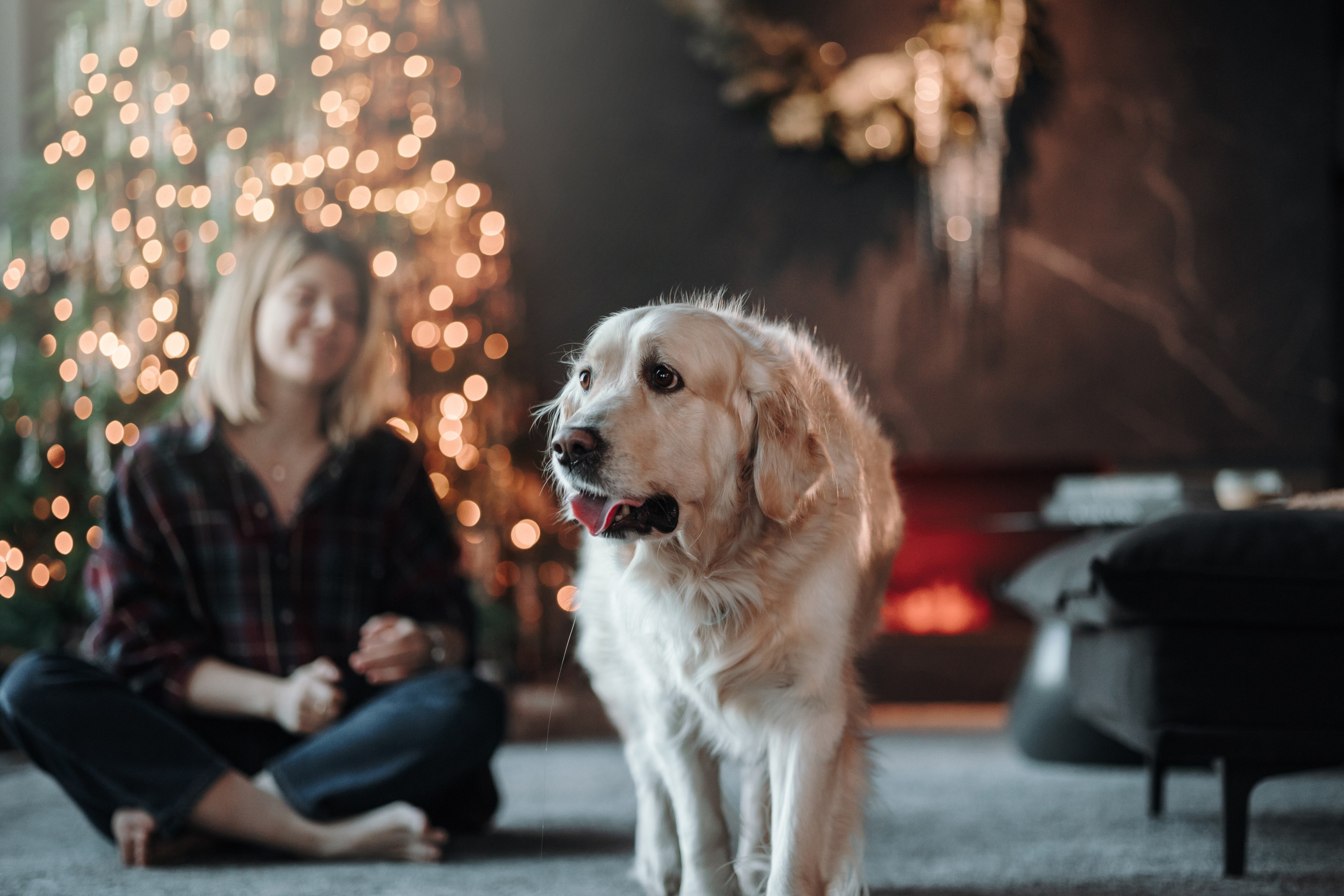 Вика и Рози. Фотограф — Анималист | Санкт-Петербург