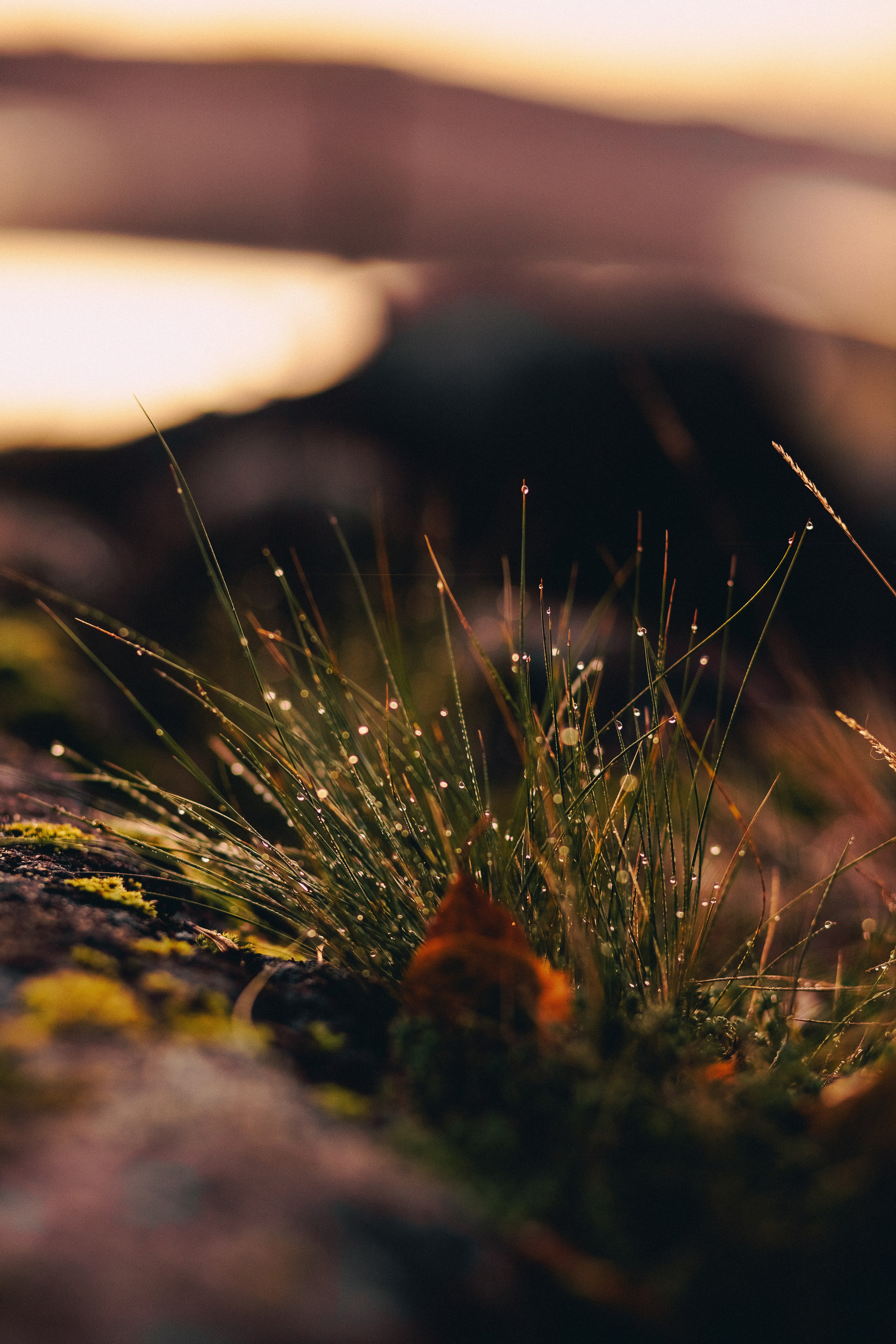 Ладога. Фотограф Санкт-Петербург Макарова Дарья