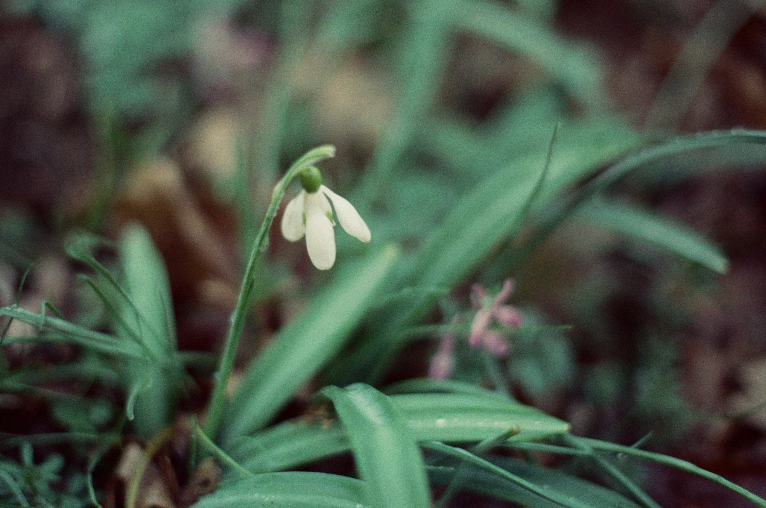 Some kind of madness // ukraine, crimea. EVER EXPOSED
