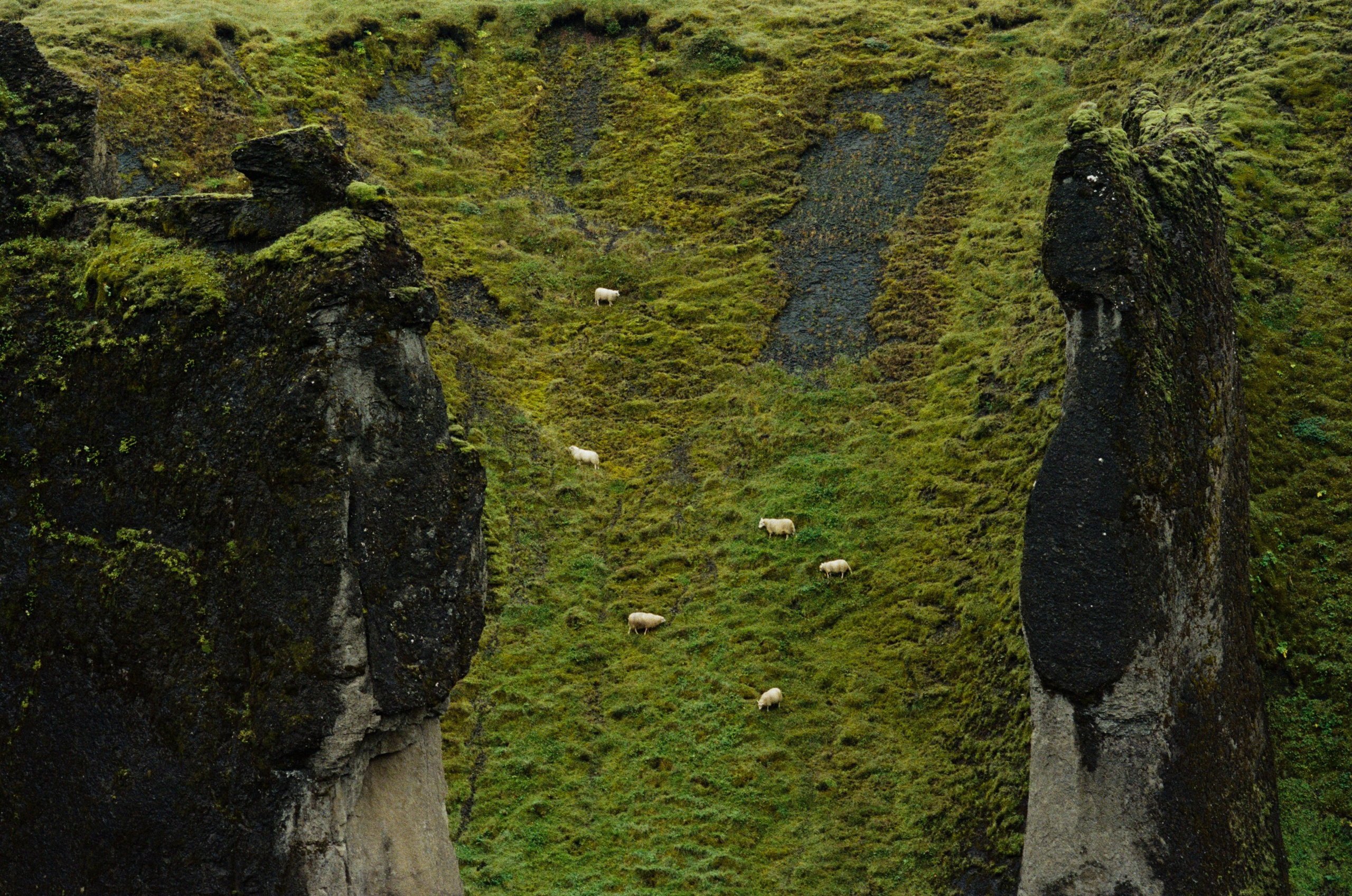 I of the storm // iceland, fjaðrárgljúfur. EVER EXPOSED