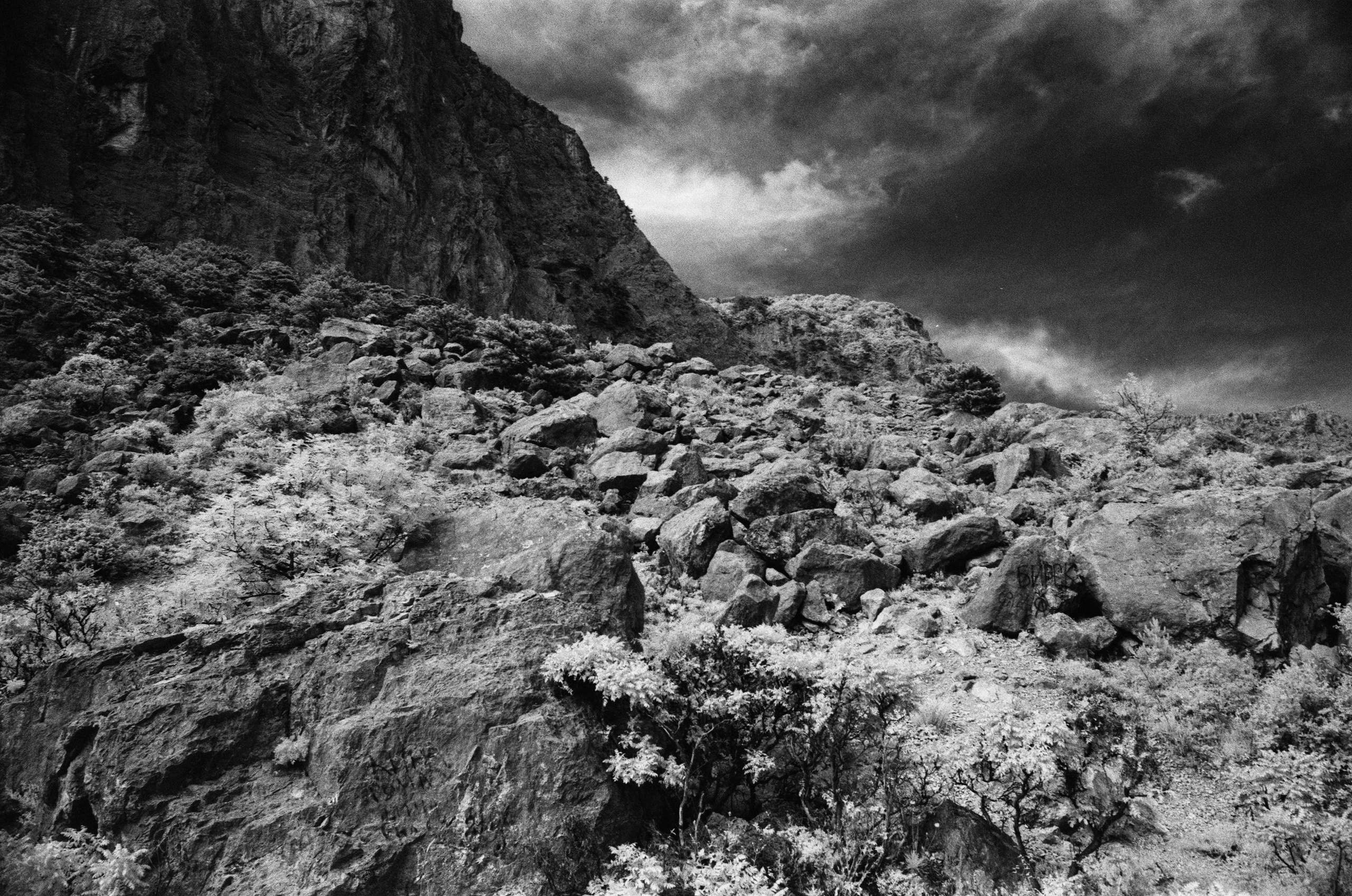 Point of no reply // ukraine, crimea VII. EVER EXPOSED