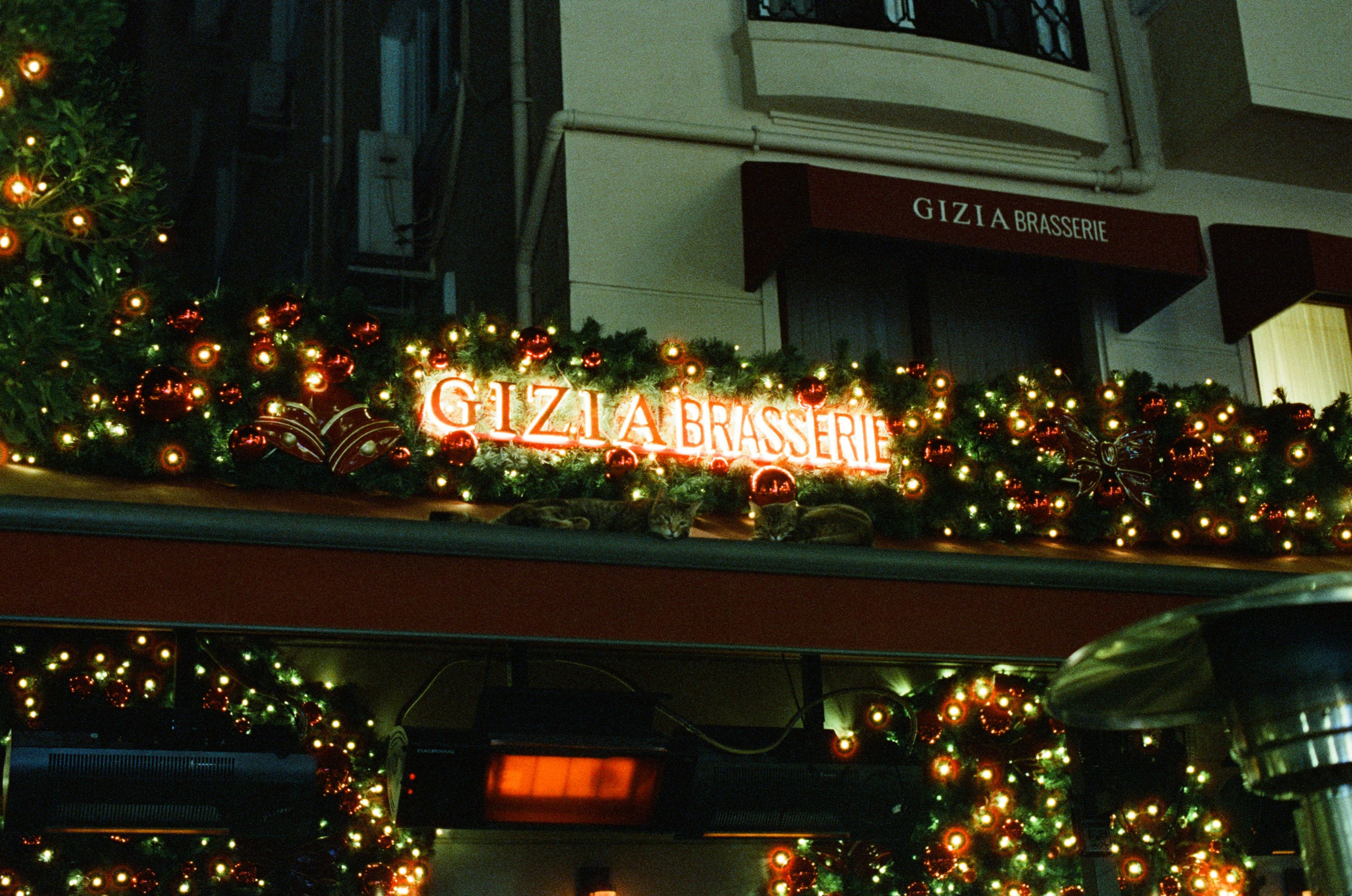 Complicated // turkey, istanbul. EVER EXPOSED