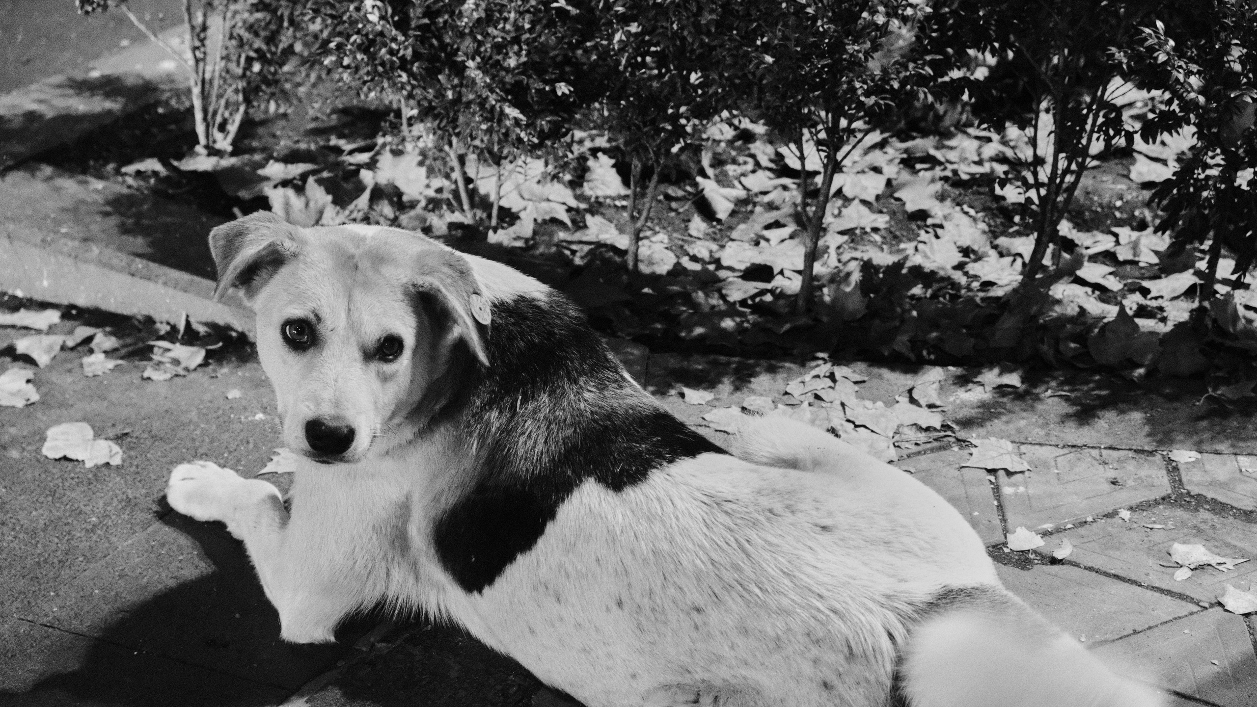 Две ночи в Ереване. Главная