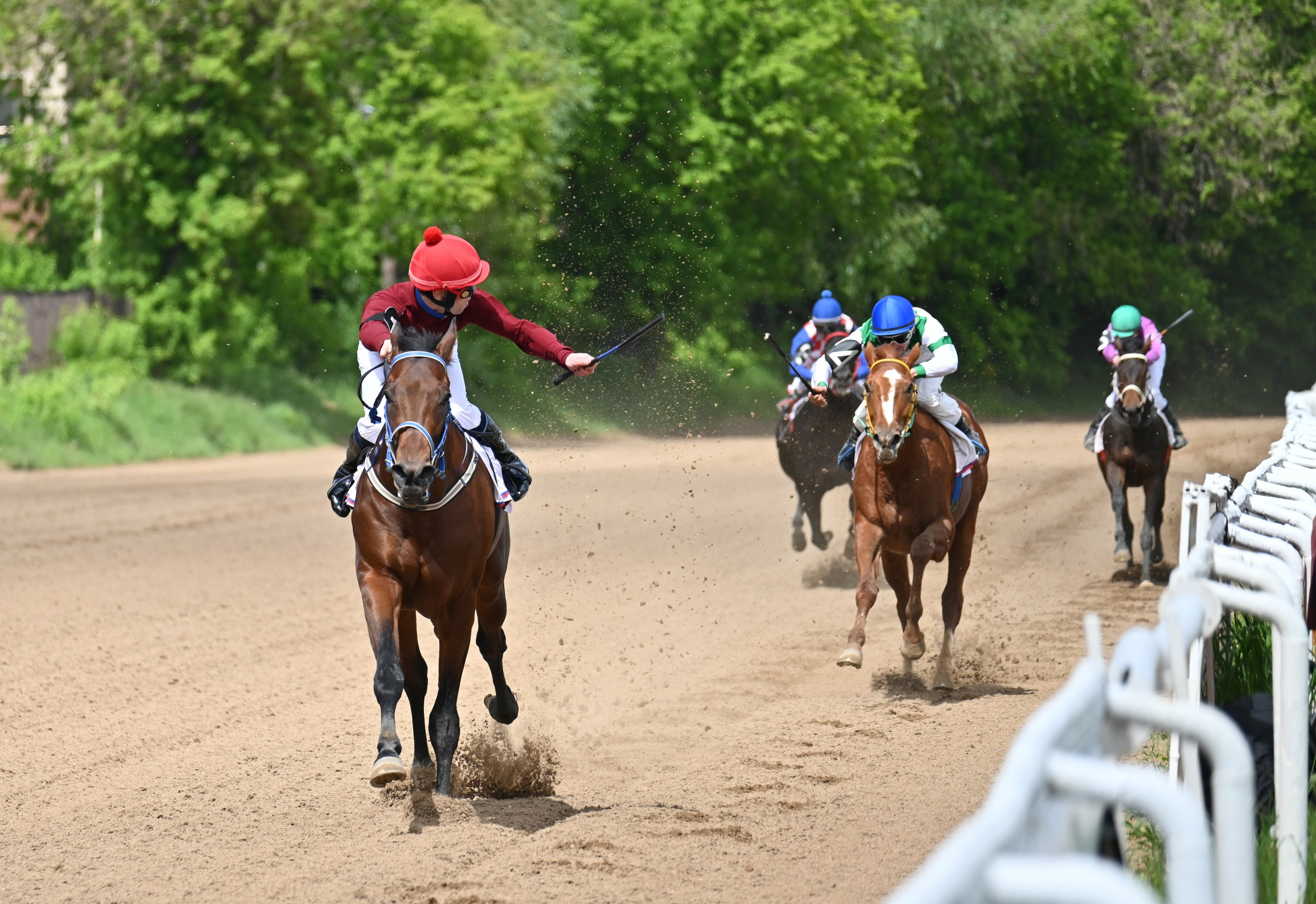 Ипподром (Москва). Fotolux