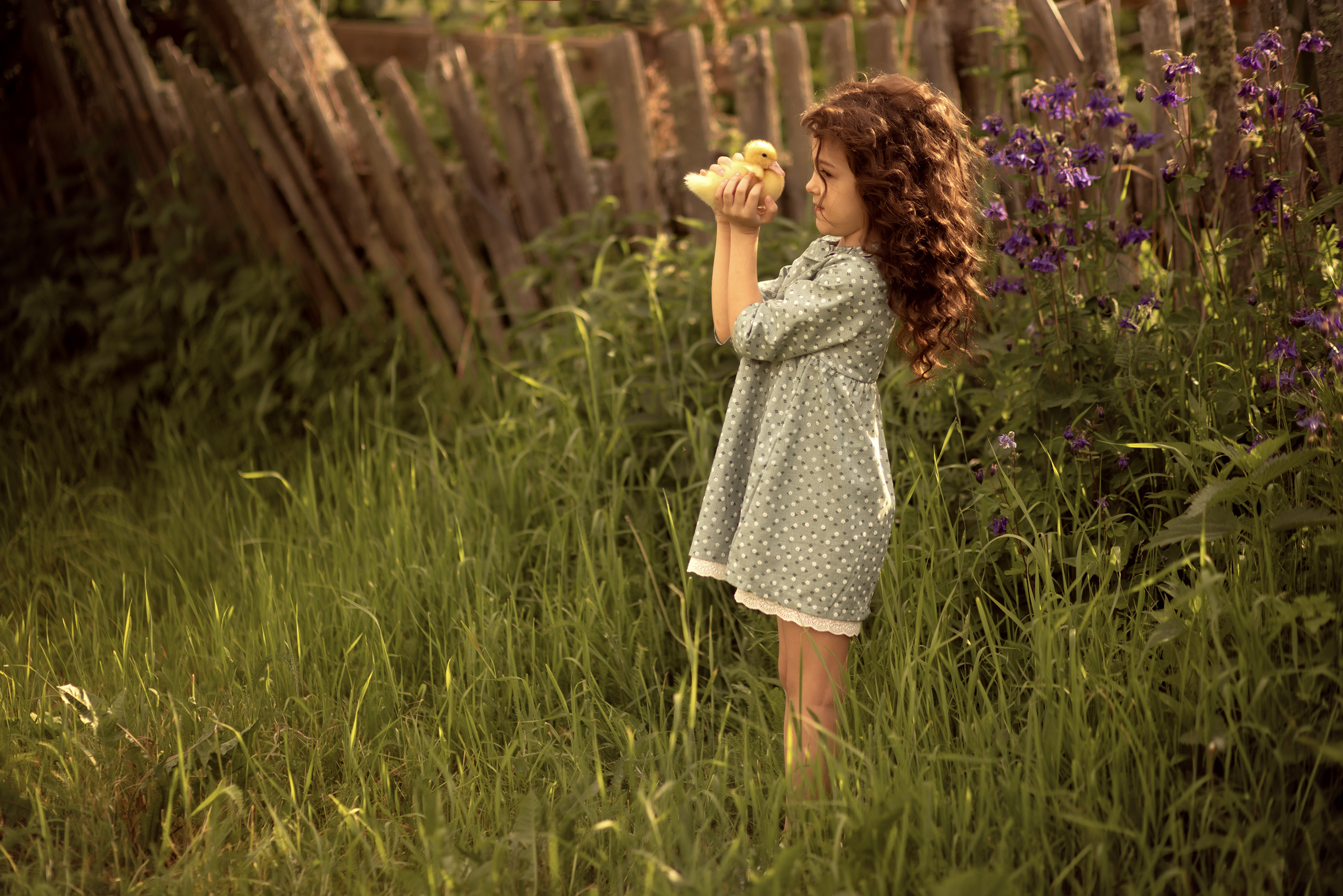 Лето. Фотограф Мегион Татьяна Букина