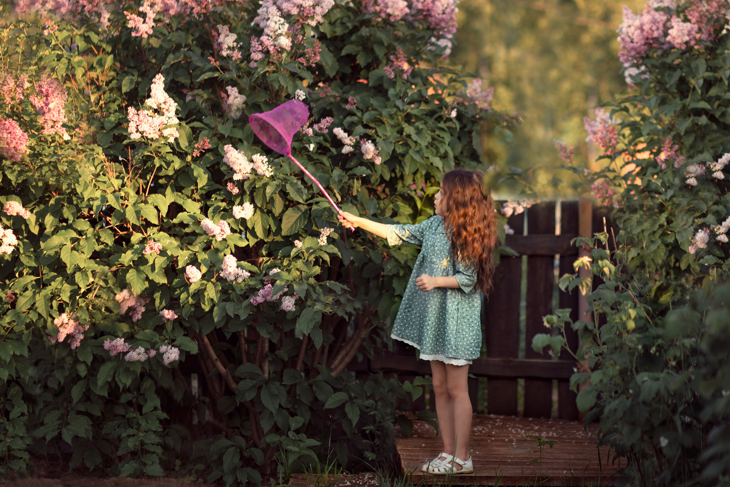 Лето. Фотограф Мегион Татьяна Букина