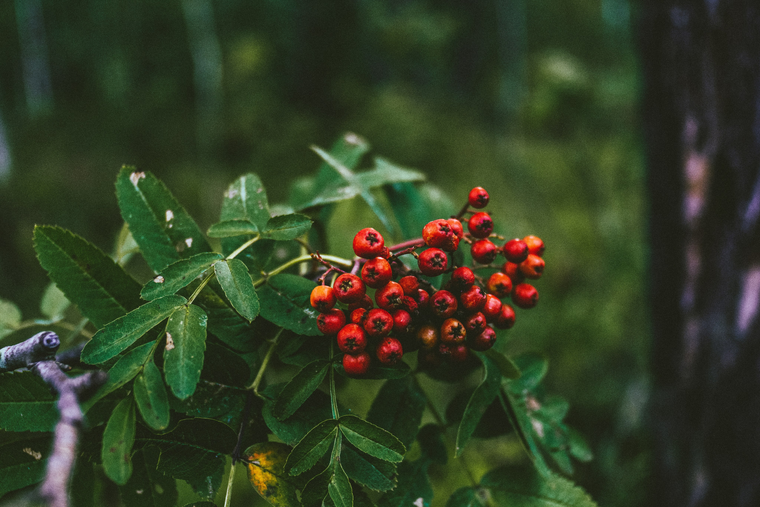 Портретный и репортажный фотограф г. Тюмень Ник Стенсил
