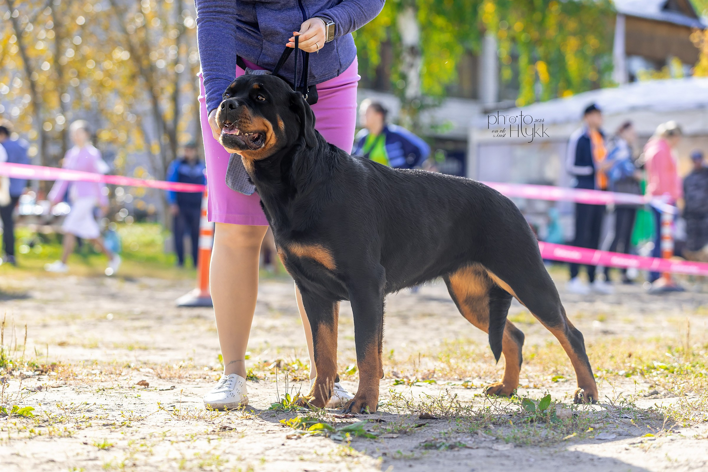 7 сентября 2024, Выставка СКОР, г. Пермь. Htykk_photo