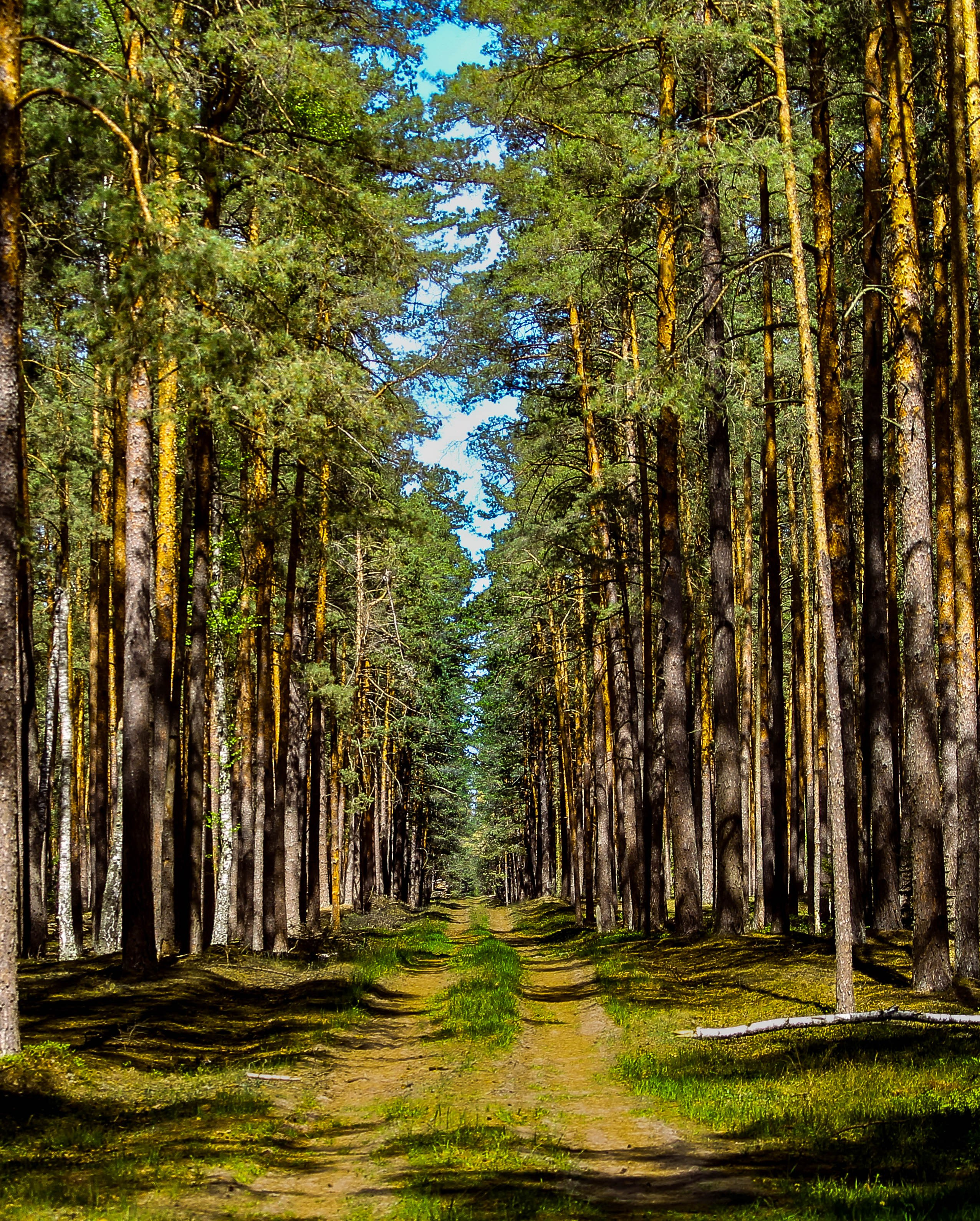 ПЛАНЕТА ЗЕМЛЯ (пейзаж). АЛЕКСЕЙ КОЛМАКОВ. Фотограф. Москва и Московская область