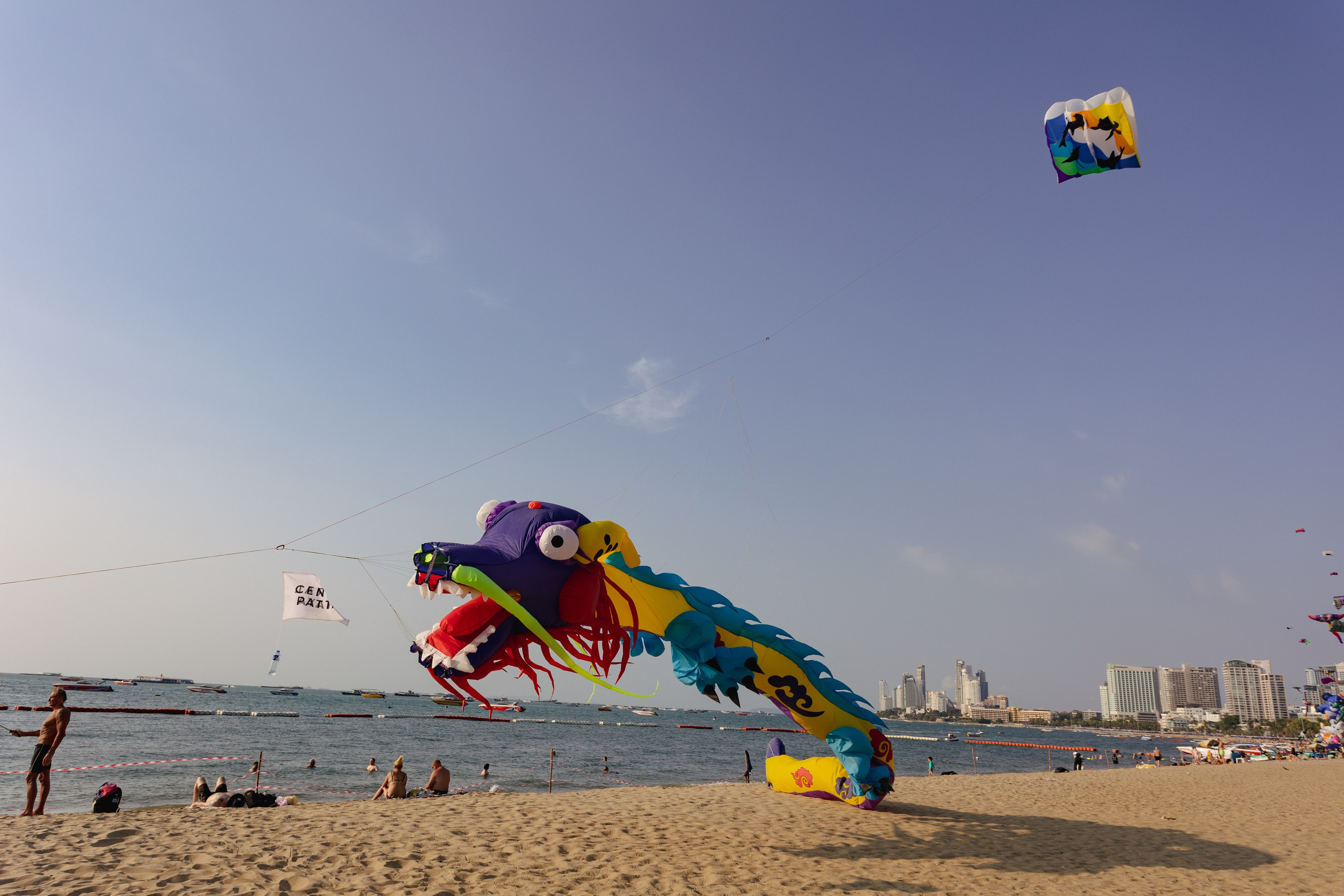 PATTAYA INTERNATIONAL KITE ON THE BEACH 2024. Photographer Sonkina Tatiana (Tanya Ash)