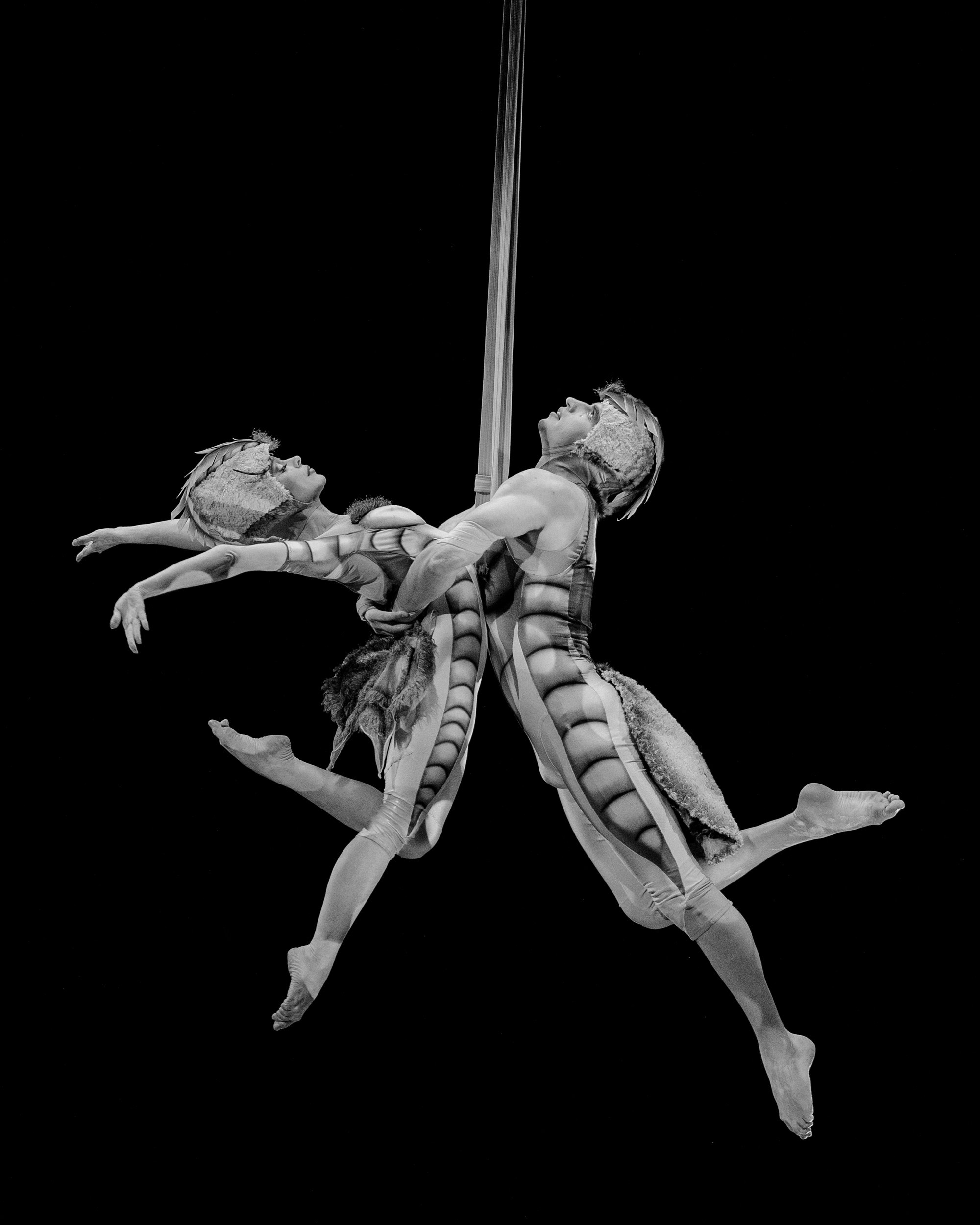 Cirque du Soleil. Портретный и репортажный фотограф Артём Бояров