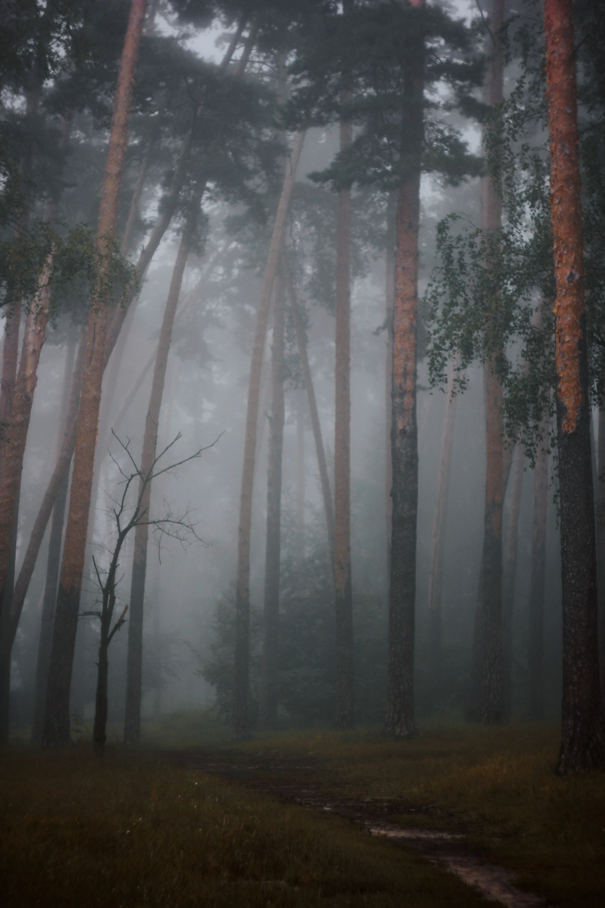 Меланхолия августа. С любовью, фотохудожник