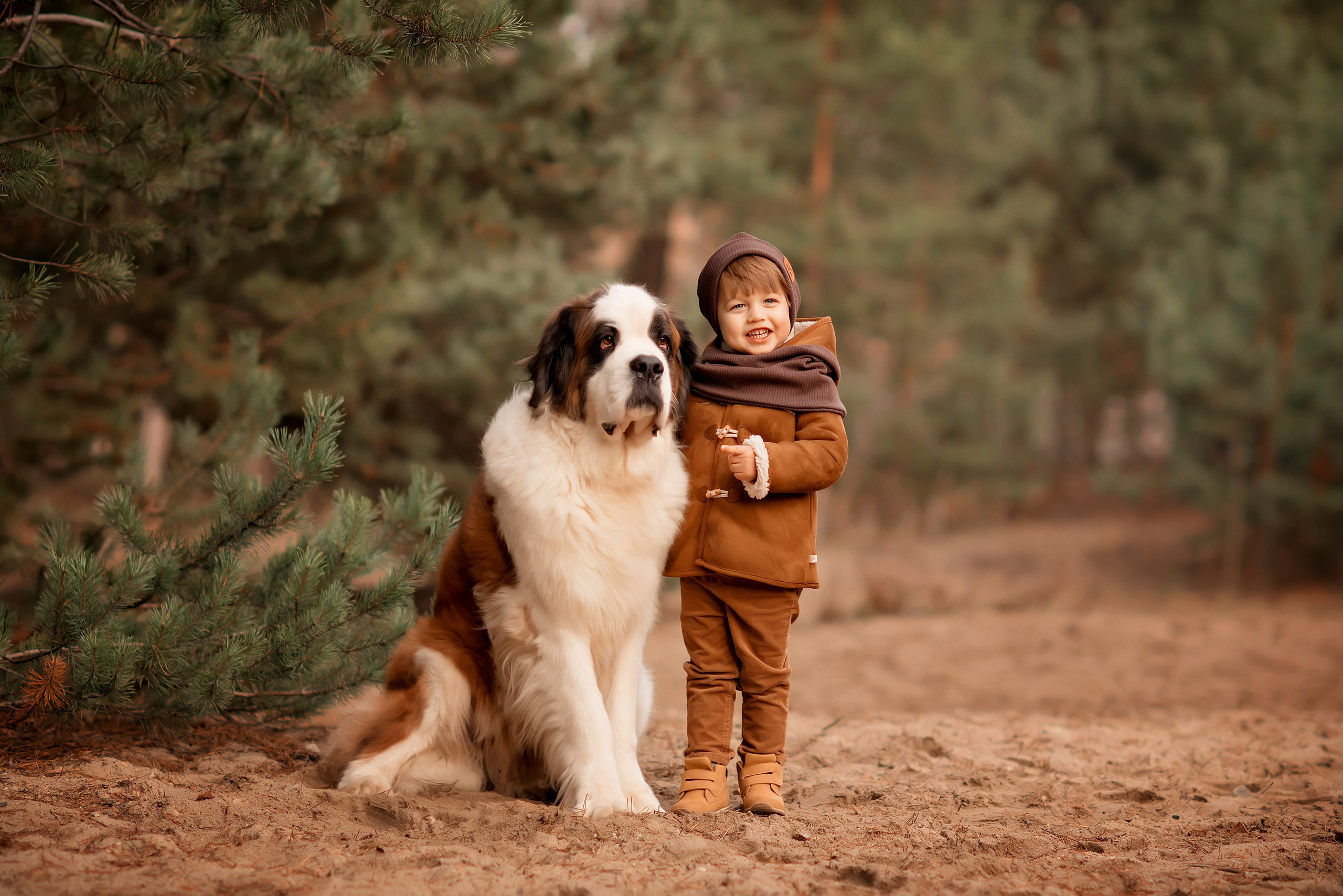 Обучение фото