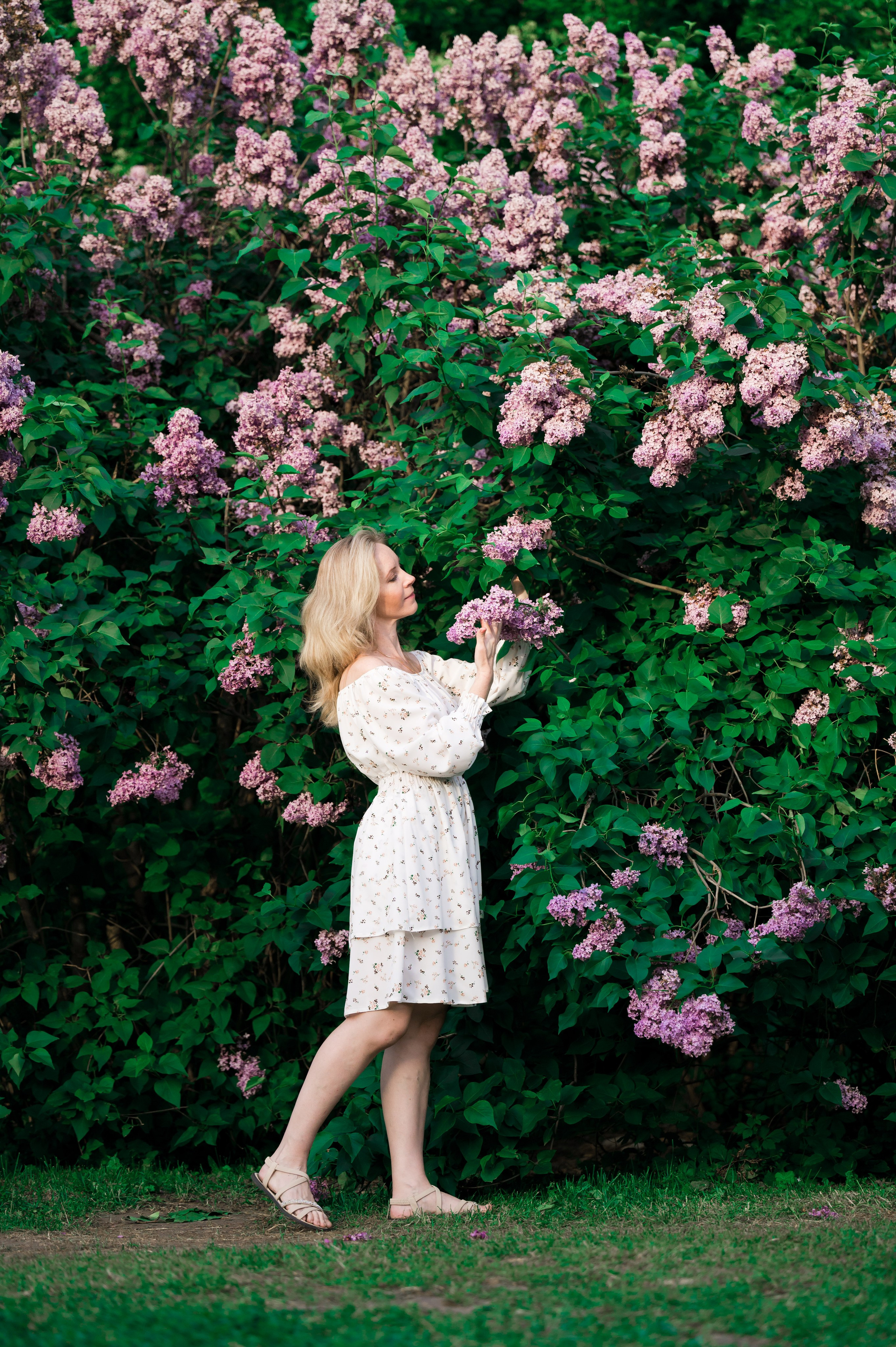 Сиреневый сад. Фотограф Егоров Констанин