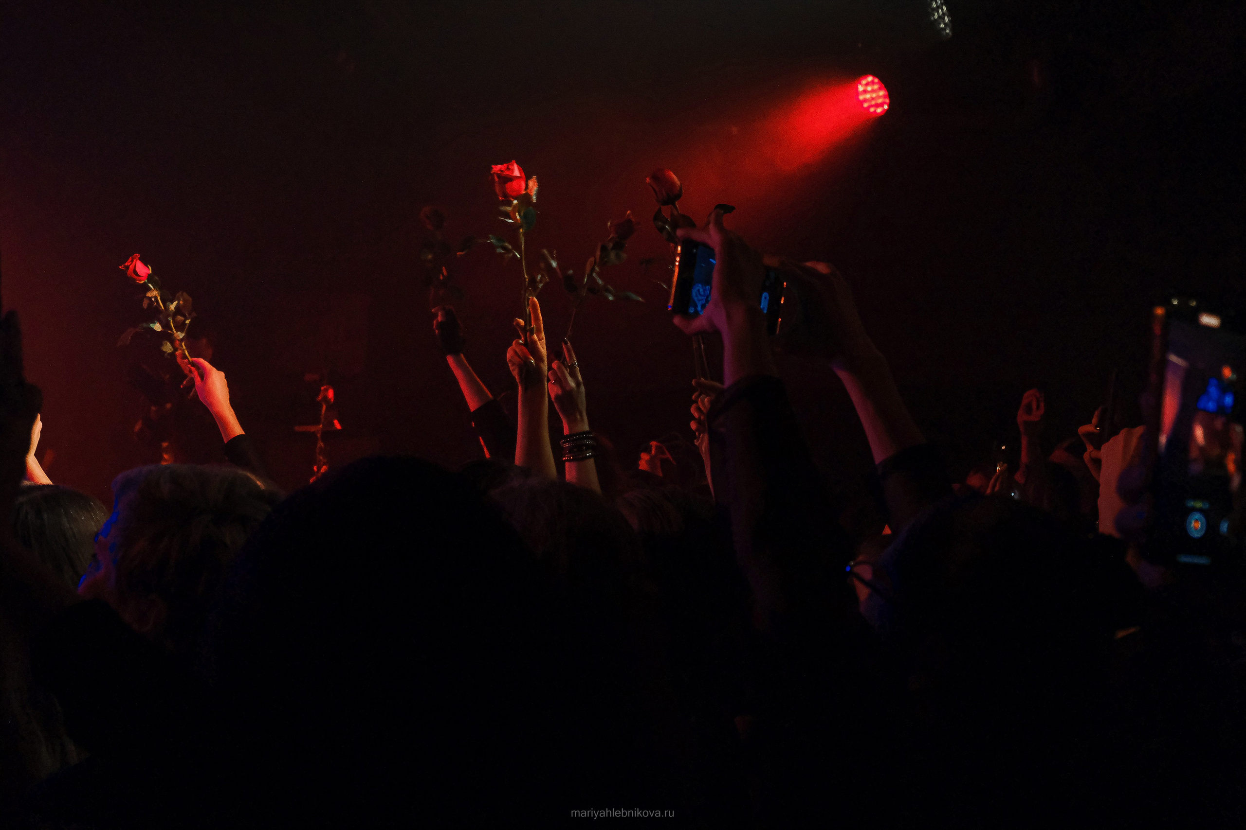 Otto Dix. Фотограф Мария Хлебникова Санкт-Петербург Москва