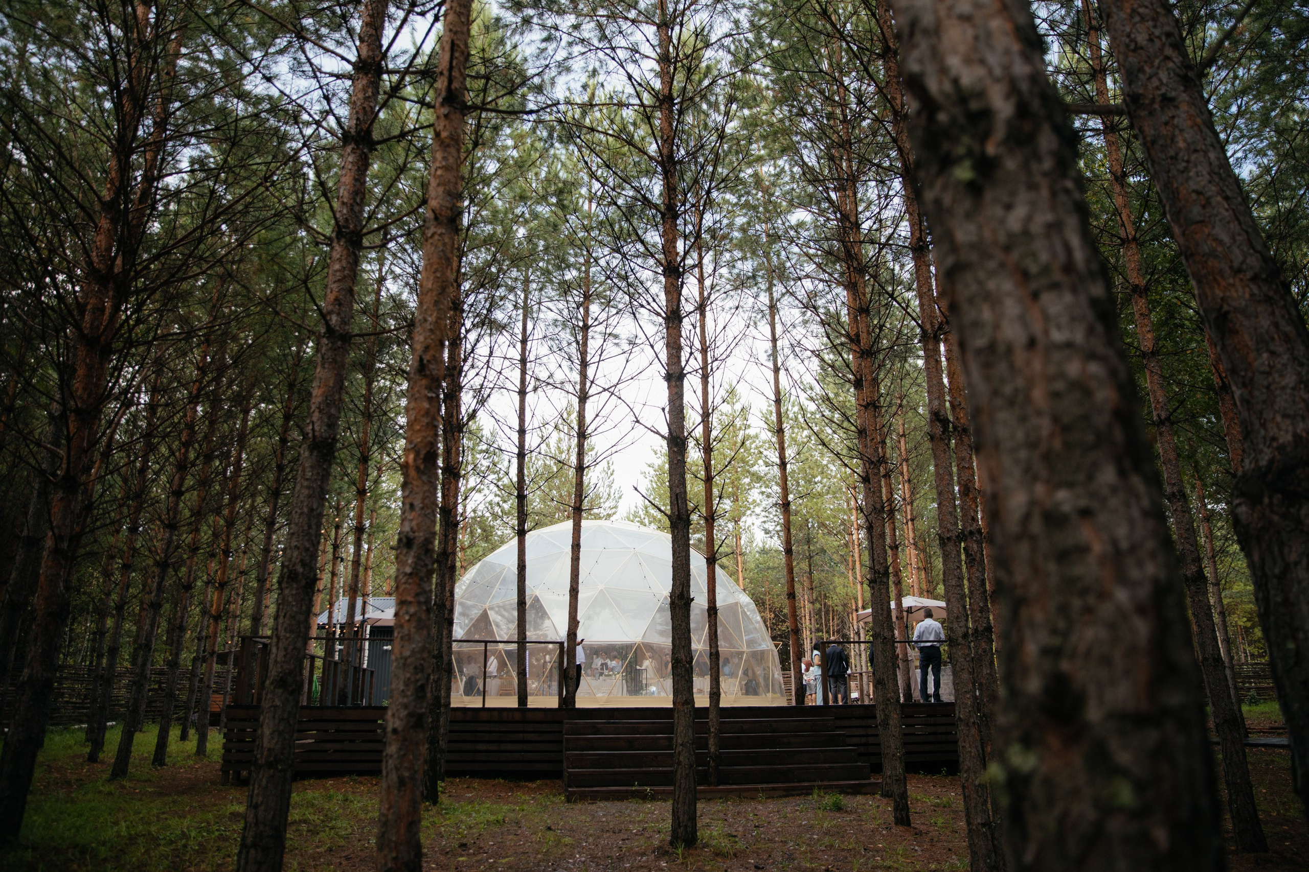 Илья и Дарья. Фотограф Барнаул Полина Теплова