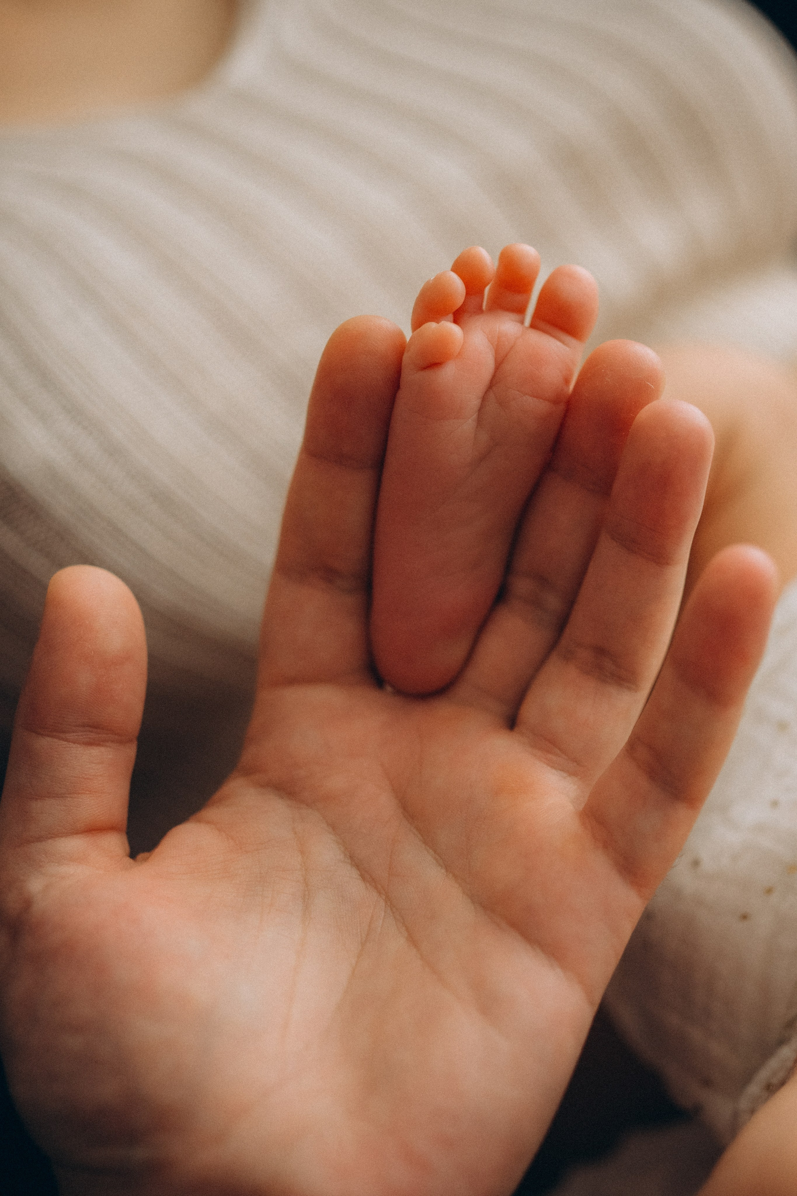 Newborn дома. Кристина Ветрова | ФОТОГРАФ | Москва