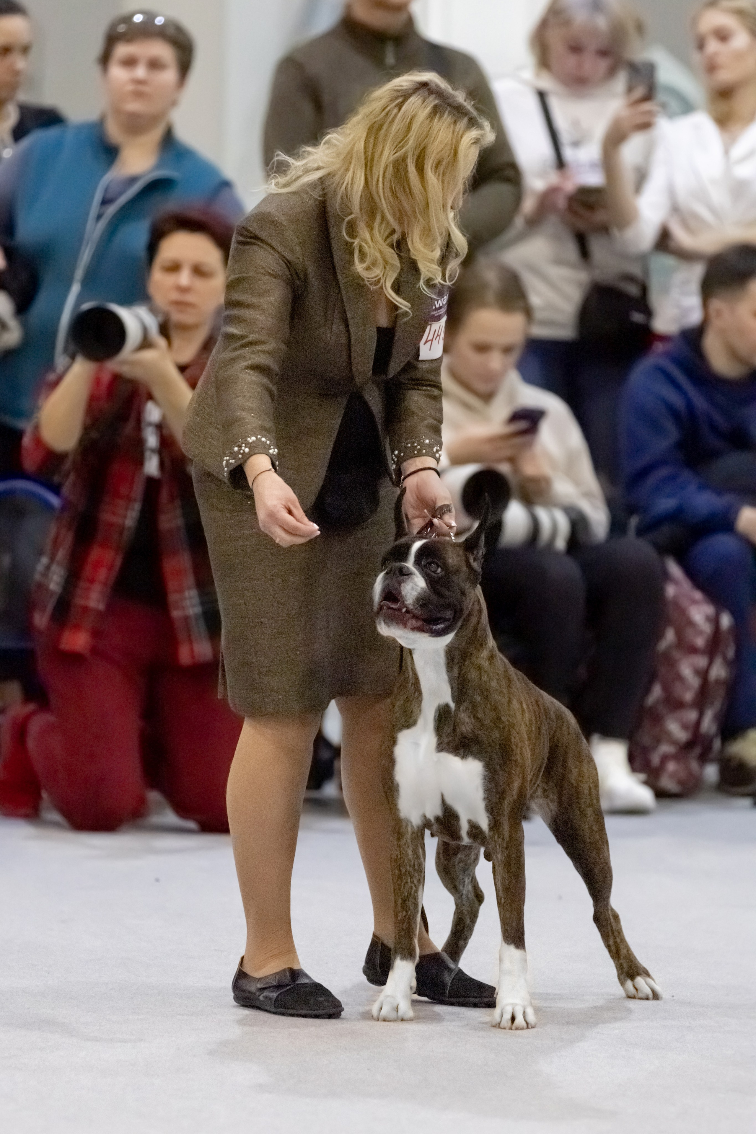 Выставки. Фотограф — анималист в Москве и области Ольга Петракова
