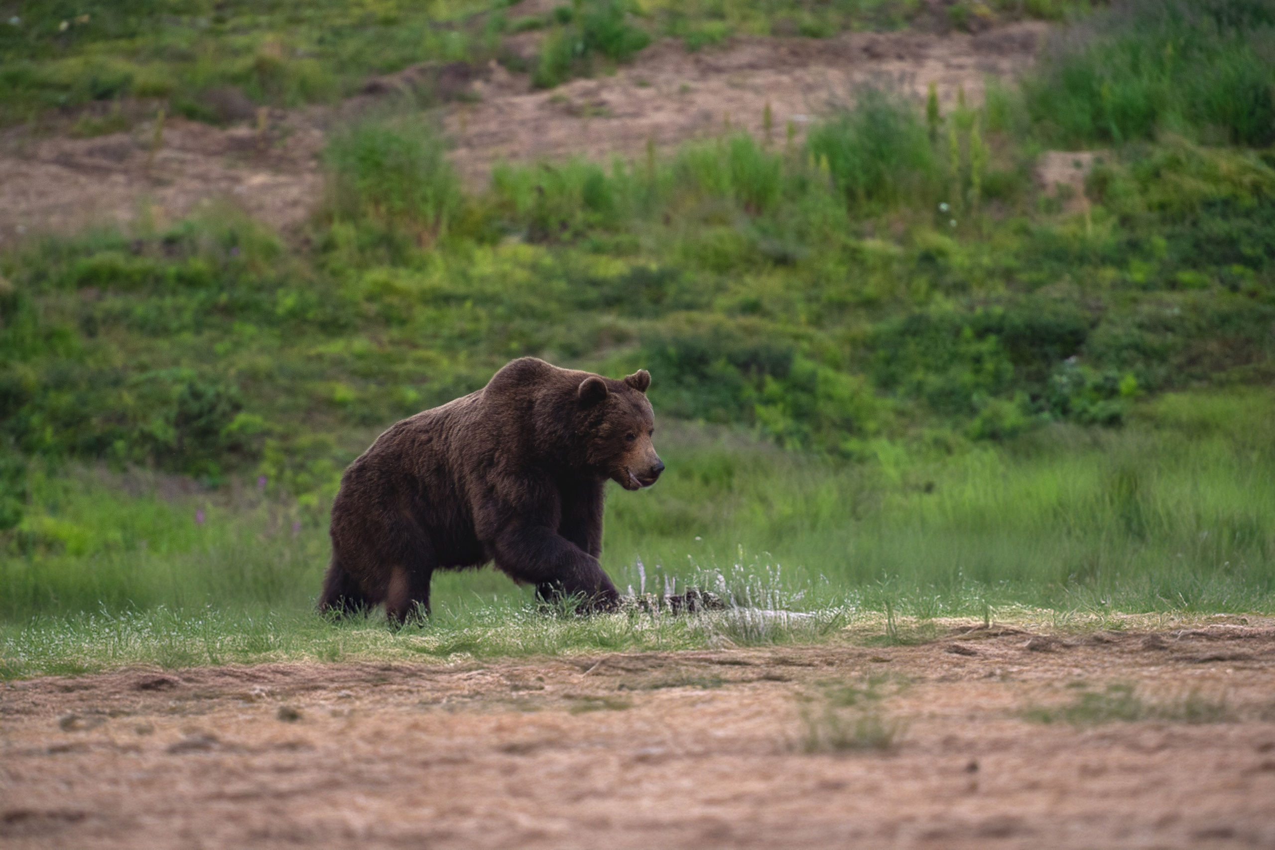 Камчатка. Фотограф в Санкт-Петербурге Вихтинский Николай