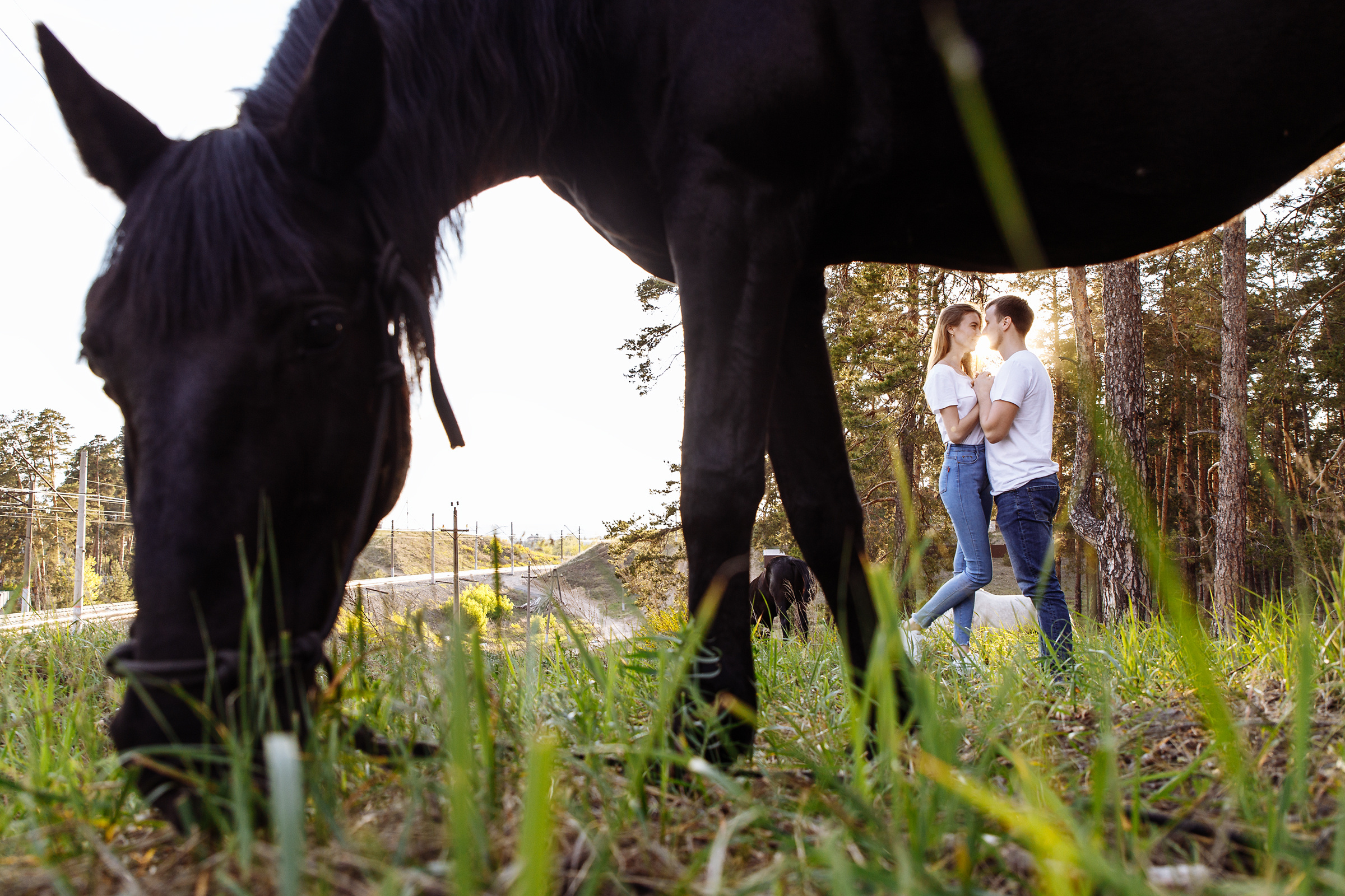 Катя и Леша. Свадебный фотограф в Самаре и Тольятти Полина Никитина